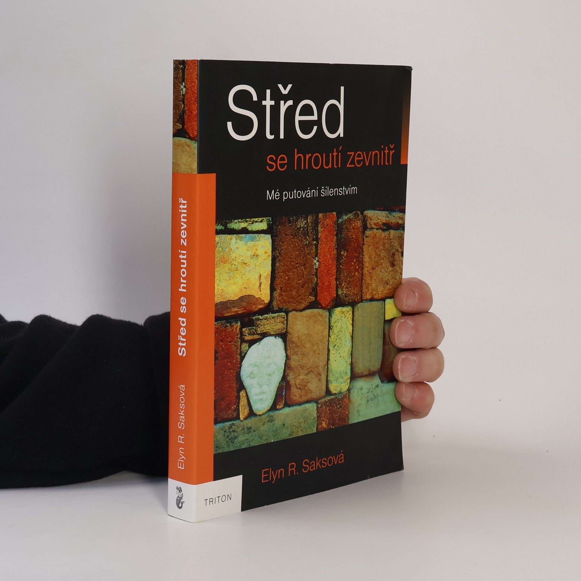 Elyn Saks Střed se hroutí zevnitř