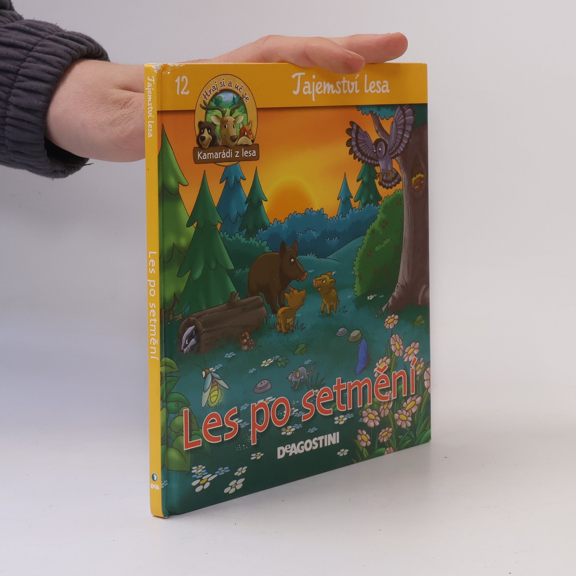 Various authors Tajemství lesa 12. Les po setmění