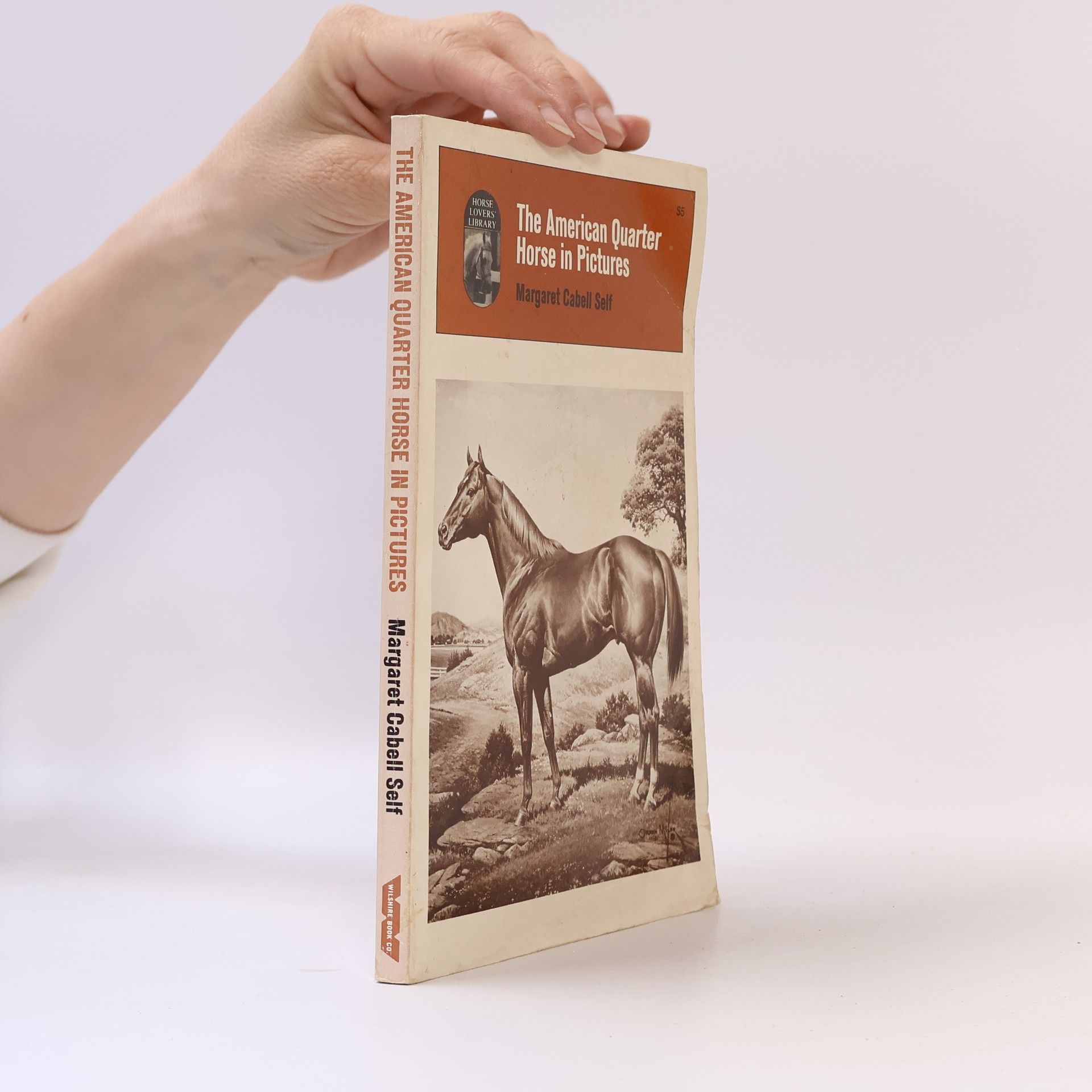 Margaret Cabell Self The American Quarter Horse in Pictures