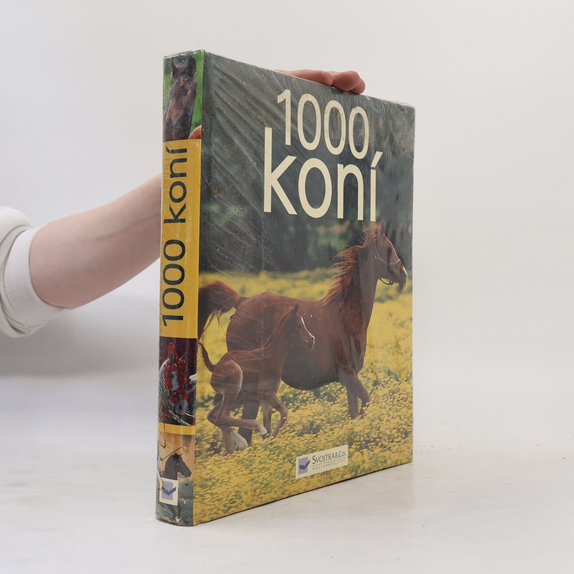 Ulrike Schöber 1000 koní