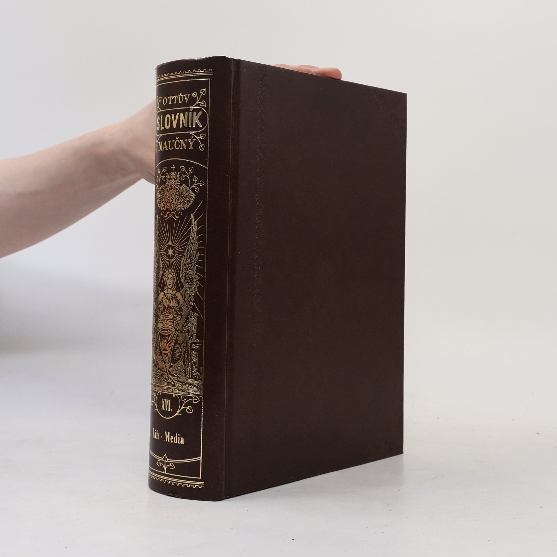 Autorenkollektiv Ottův slovník naučný XVI. Líh - Media