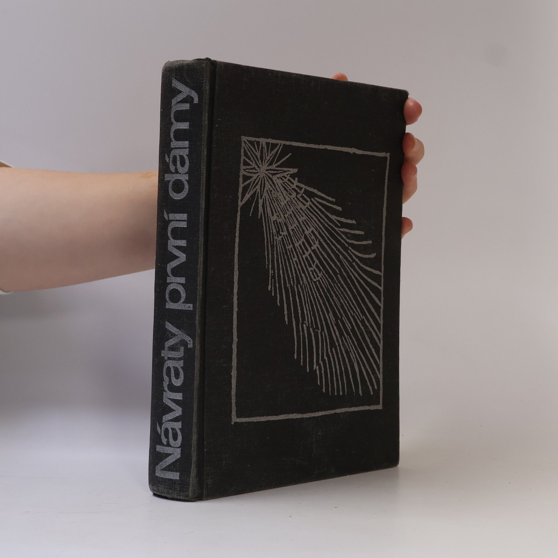 Vladimír Železný Návraty první dámy