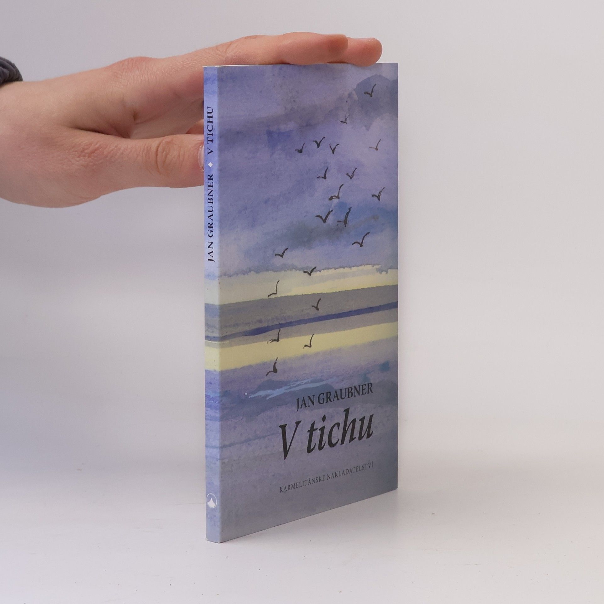V tichu