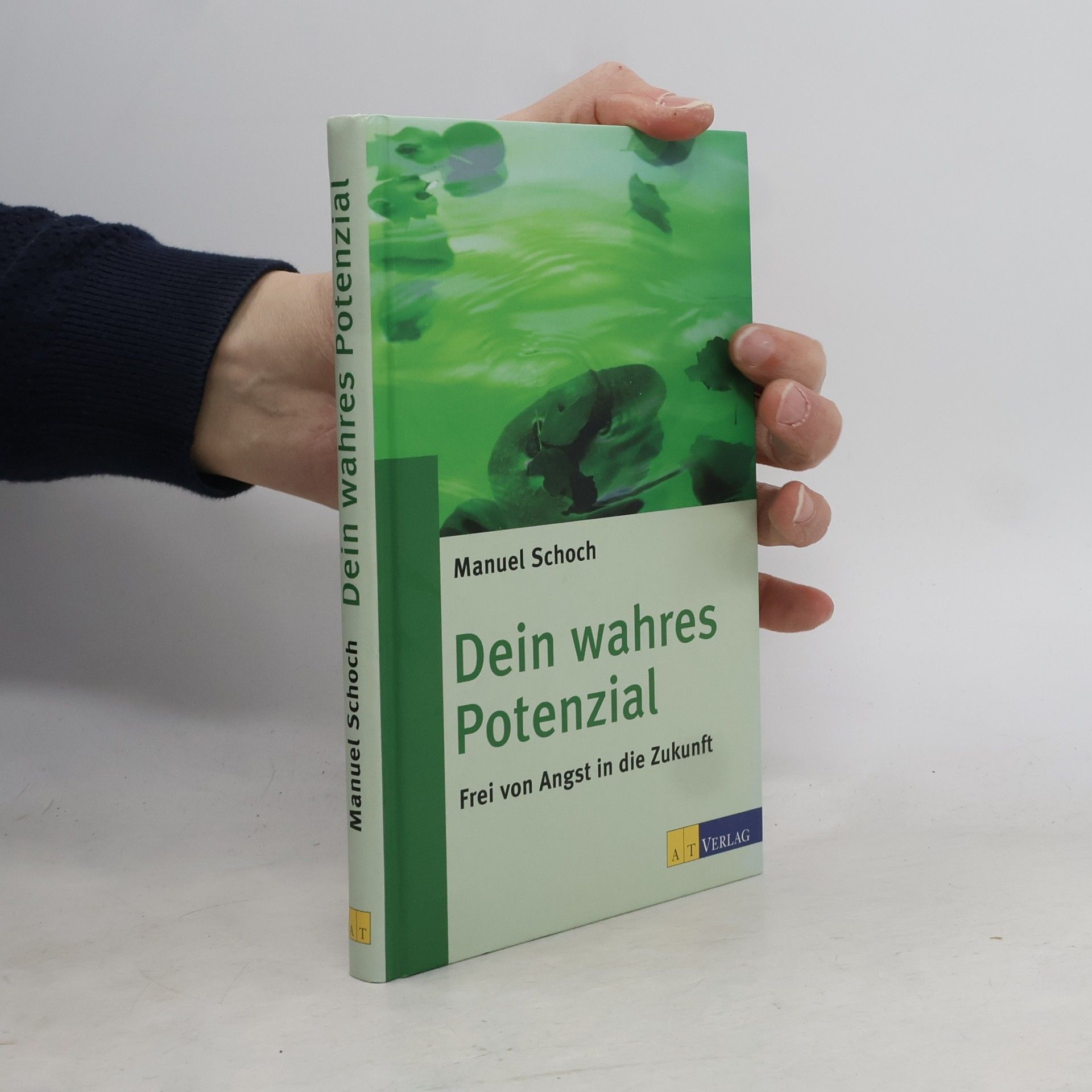Manuel Schoch Dein wahres Potenzial