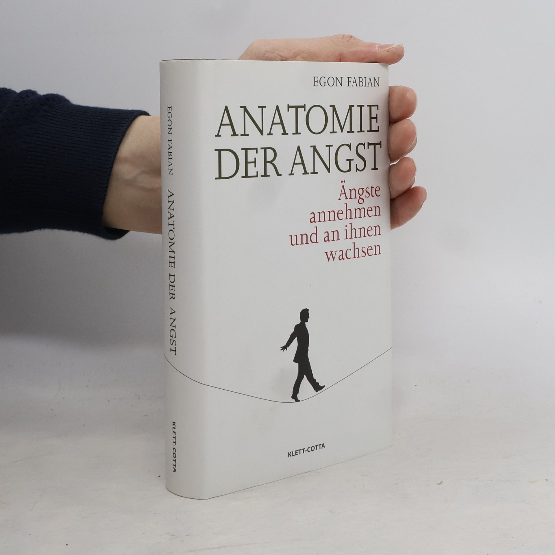 Egon Fabian Anatomie der Angst