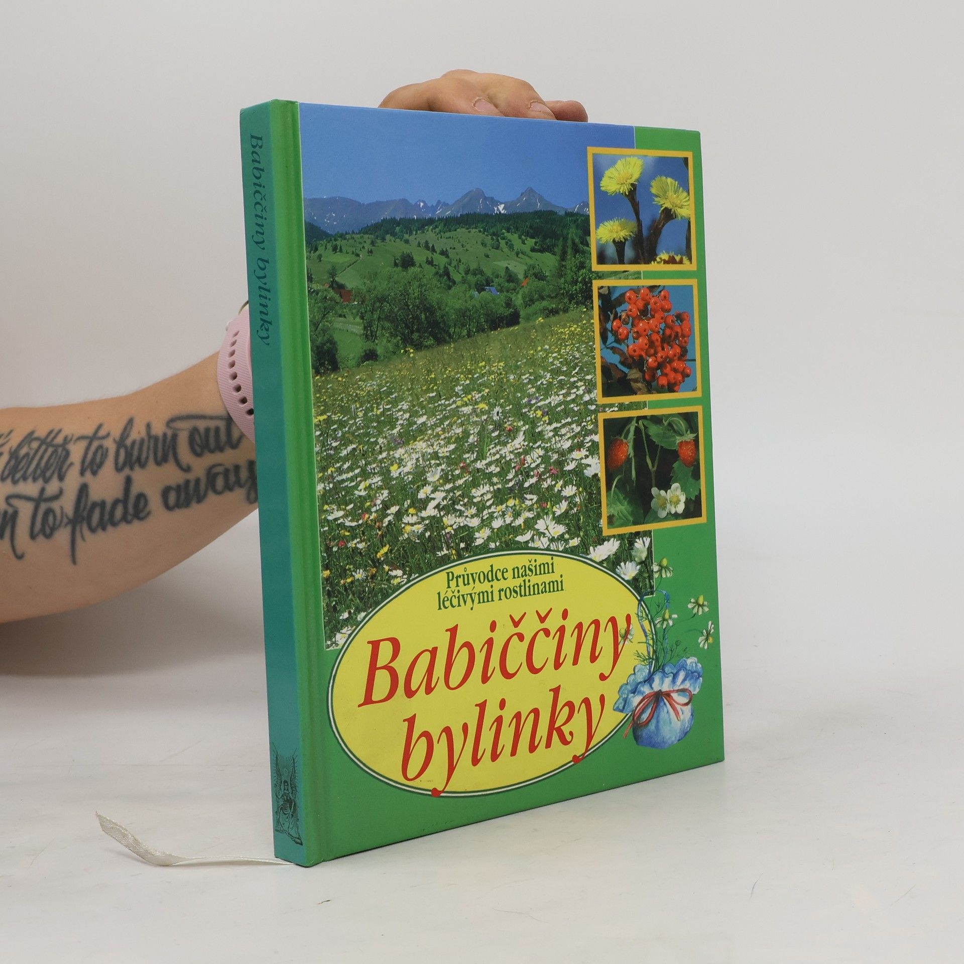 Babiččiny bylinky : průvodce našimi léčivými rostlinami
