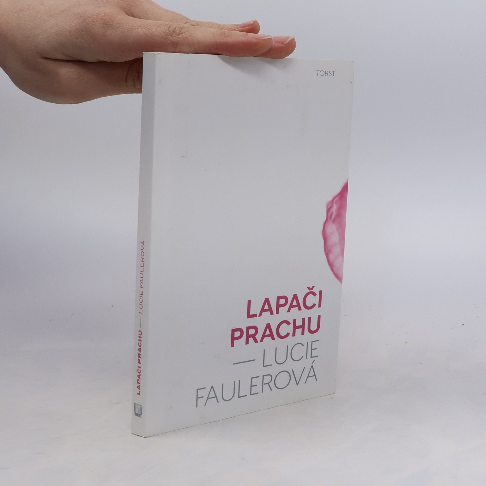 Lucie Faulerová Lapači prachu