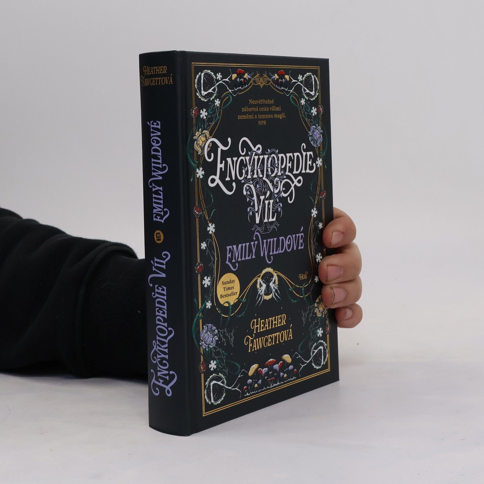 Heather Fawcett Encyklopedie víl Emily Wildové