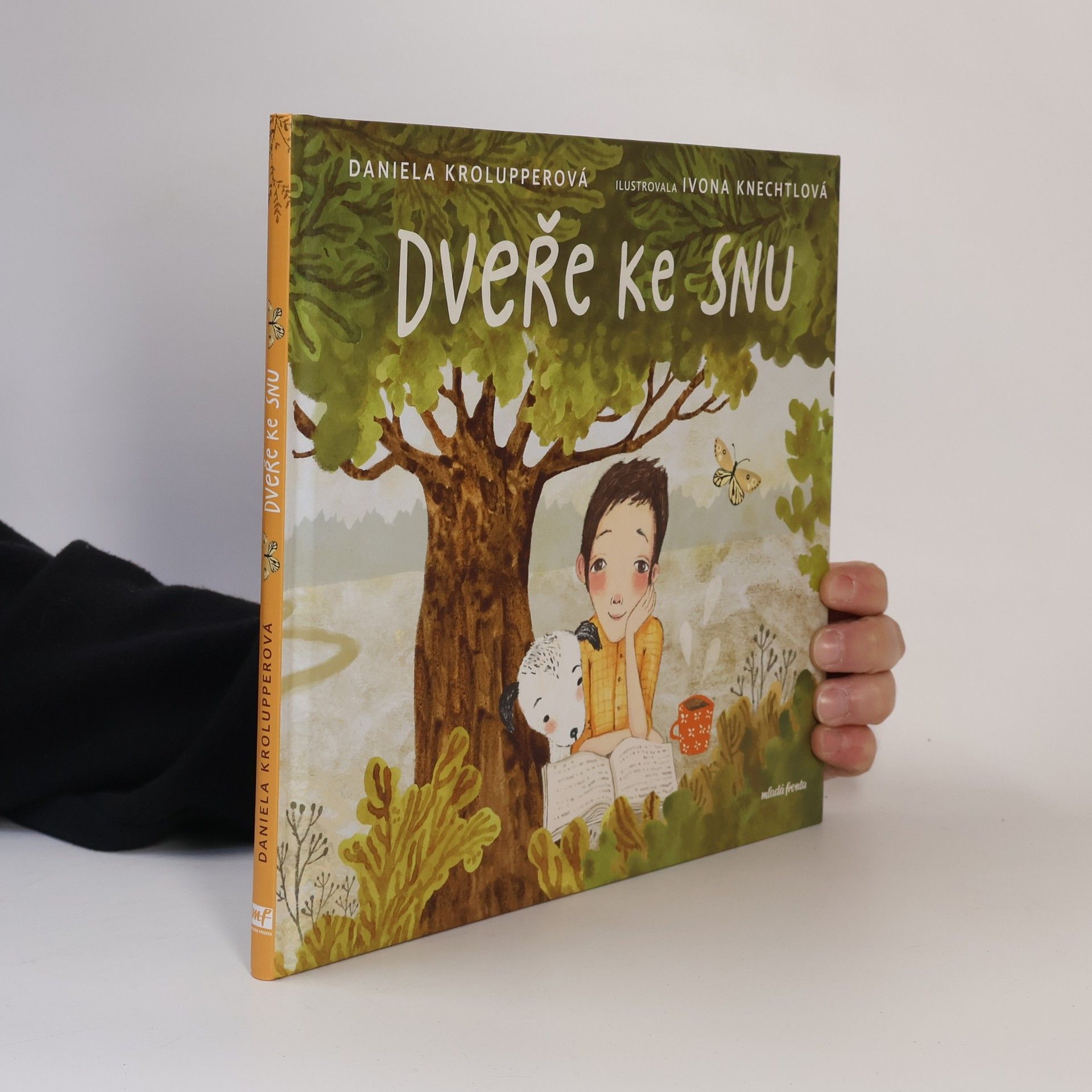 Daniela Krolupperová Dveře ke snu