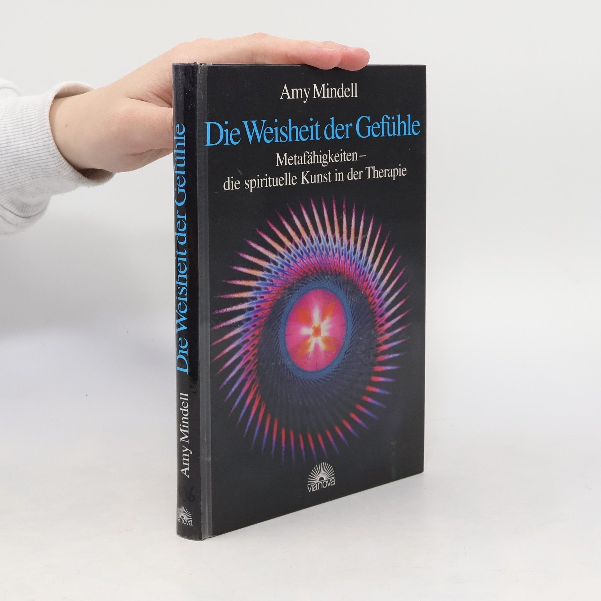 Amy Mindell Die Weisheit der Gefühle