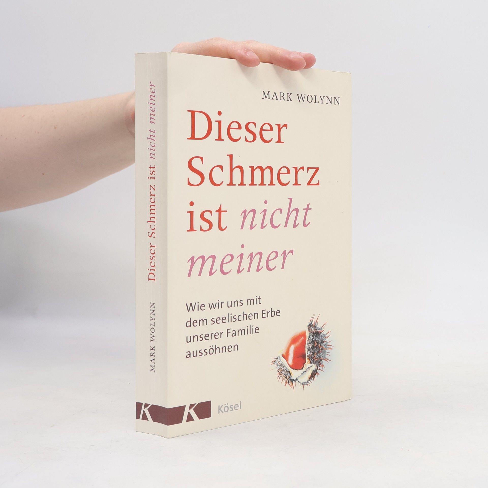 Mark Wolynn Dieser Schmerz ist nicht meiner