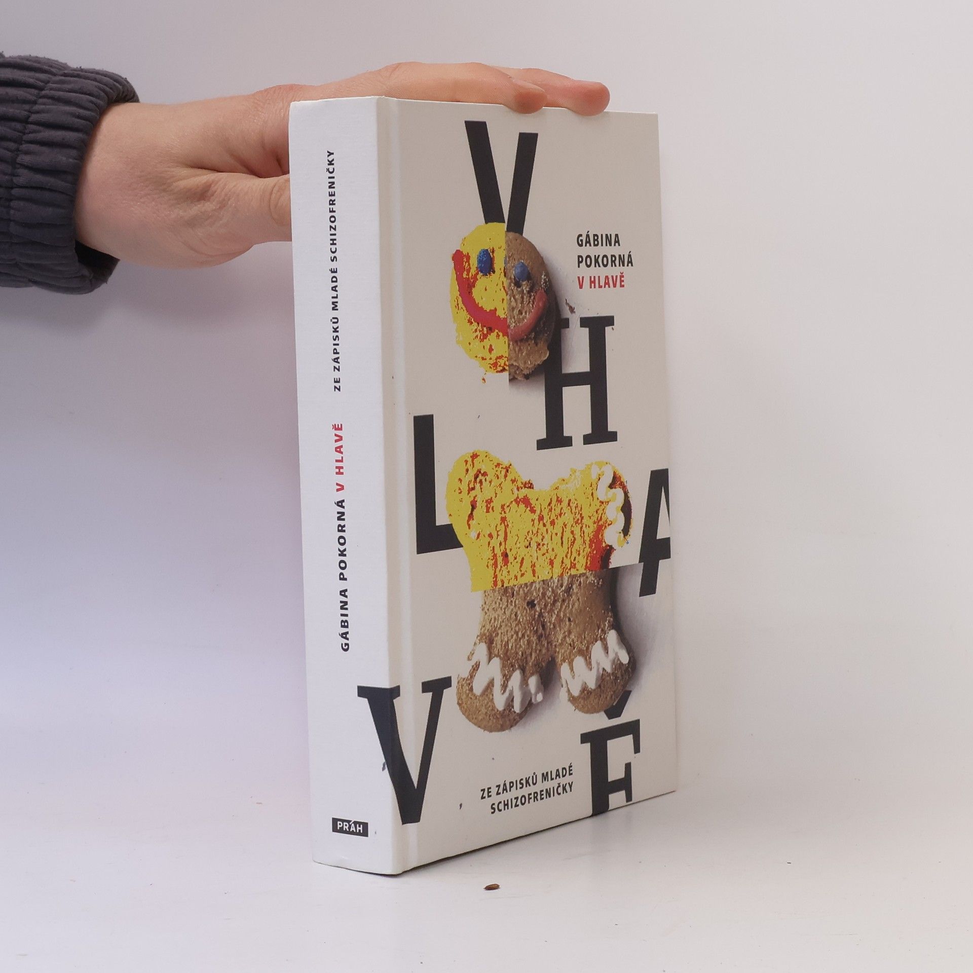 Gábina Pokorná V hlavě. Ze zápisků mladé schizofreničky