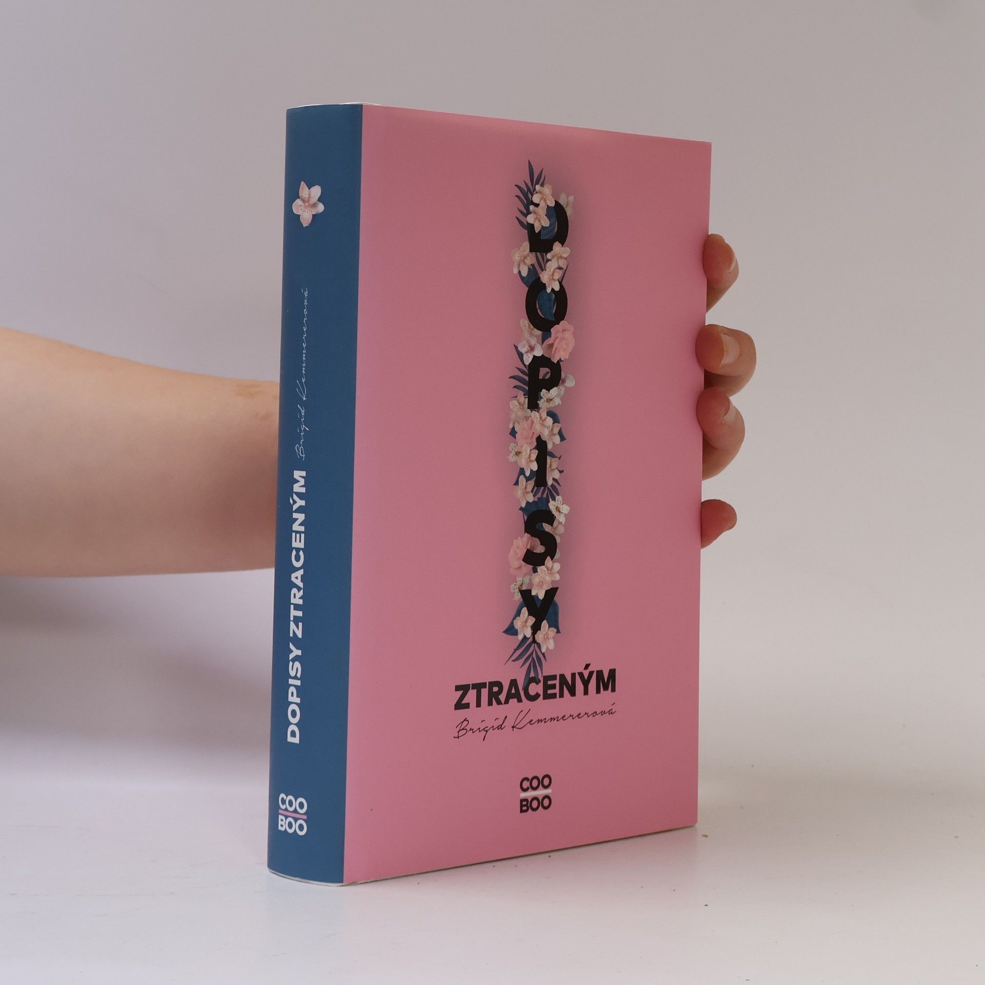 Brigid Kemmerer Dopisy ztraceným