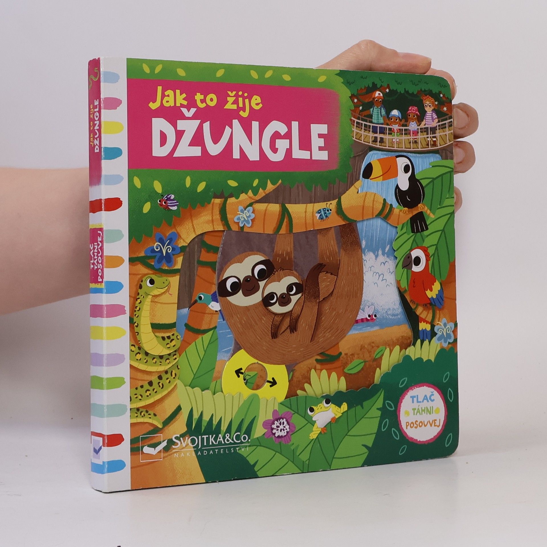 Louise Forshaw Jak to žije - džungle