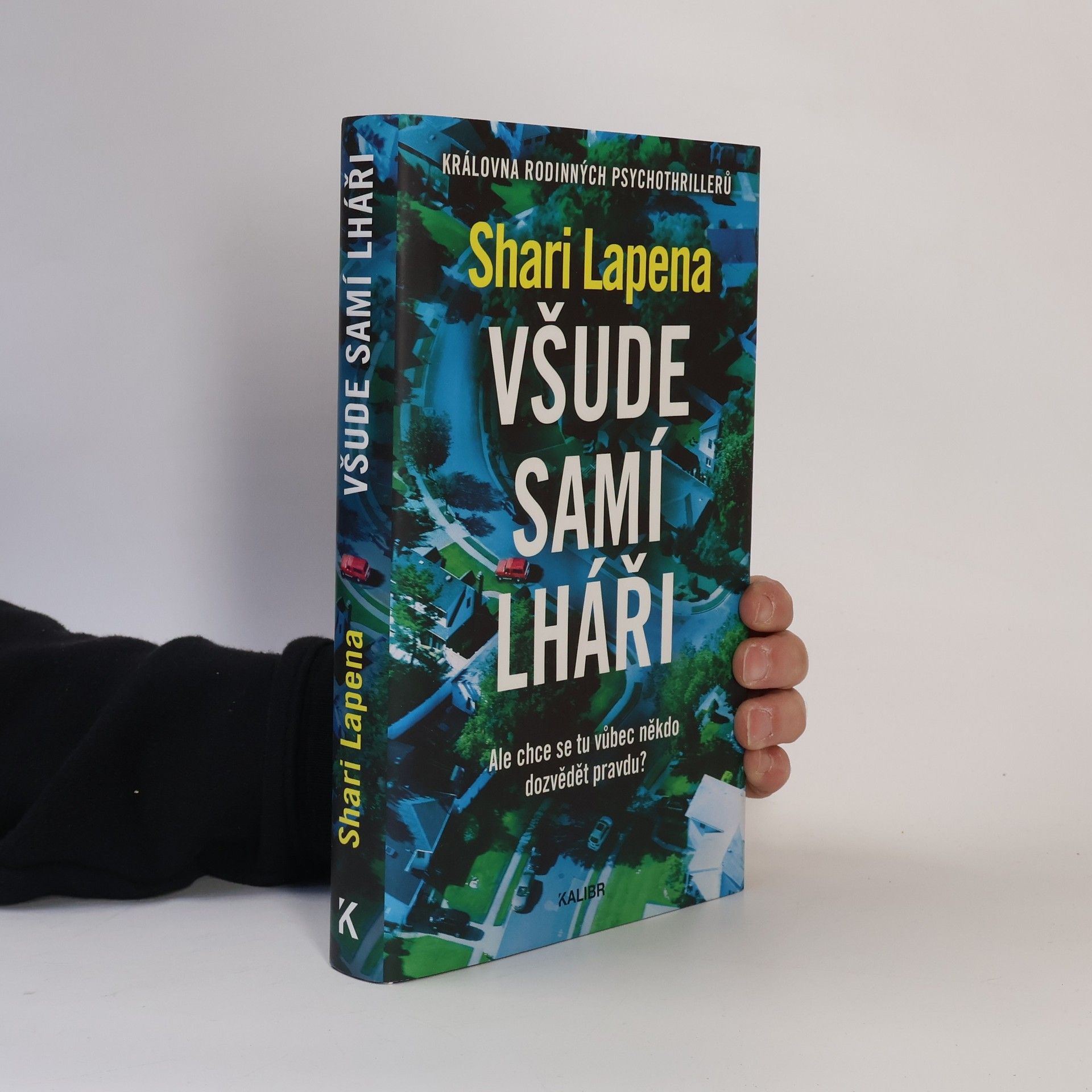 Shari Lapena Všude samí lháři