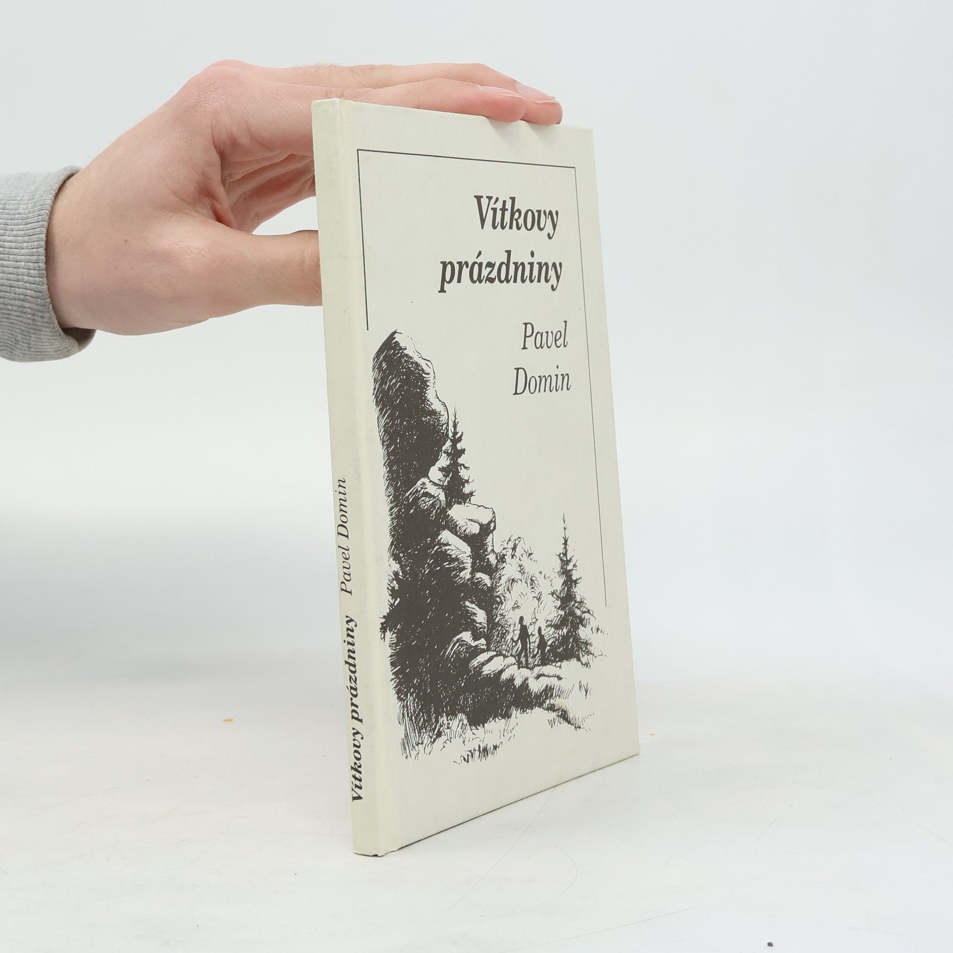 Pavel Domin Vítkovy prázdniny