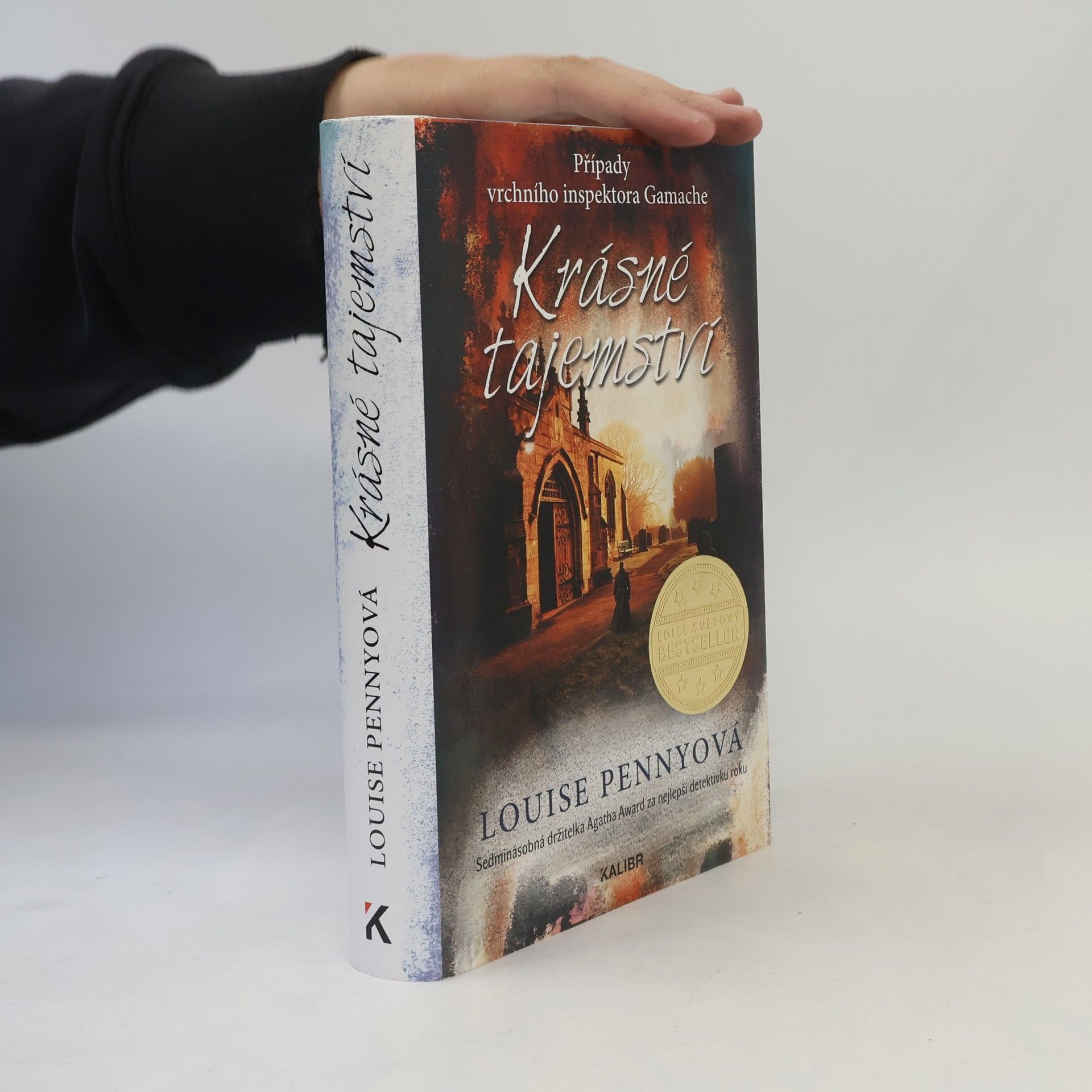Louise Penny Krásné tajemství