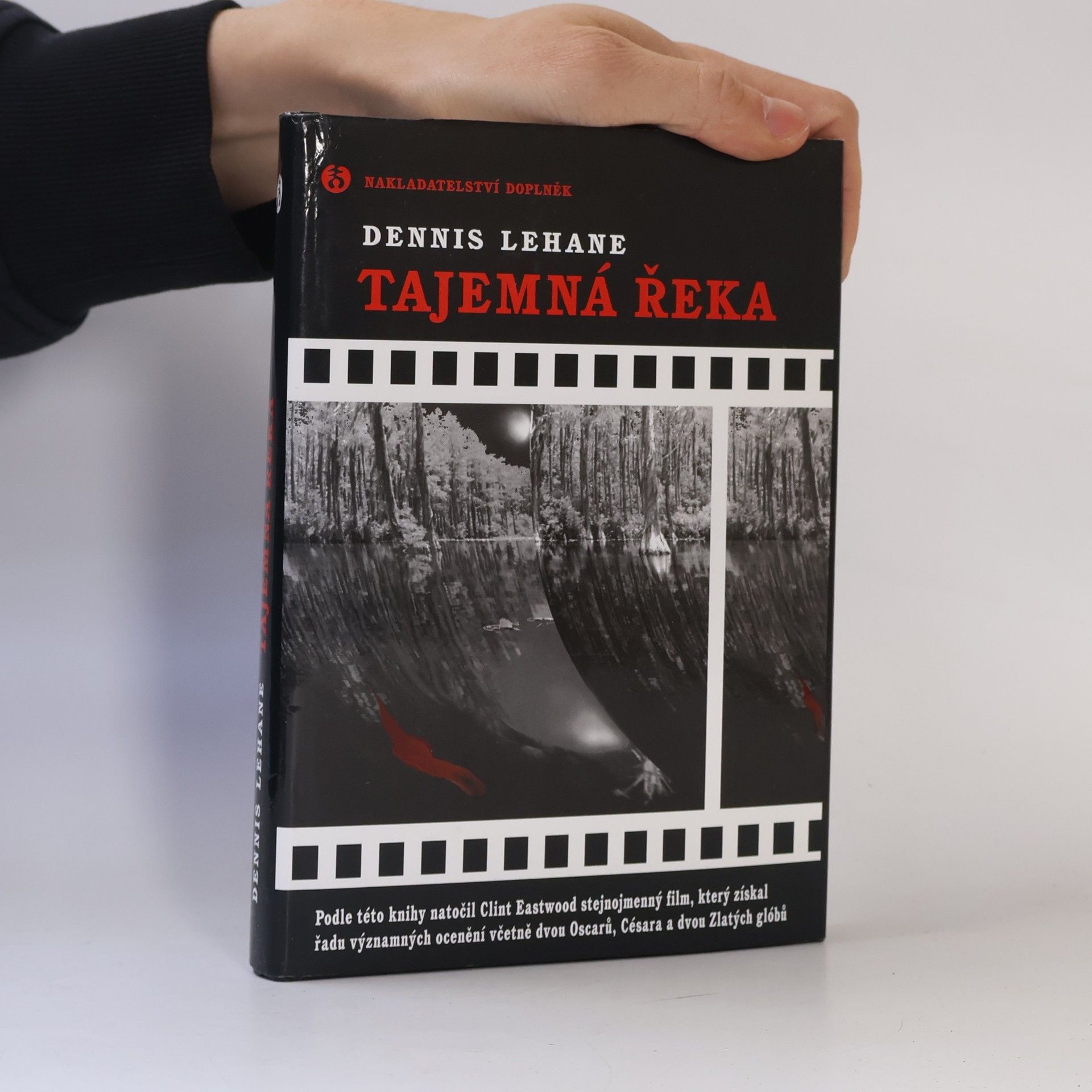 Dennis Lehane Tajemná řeka