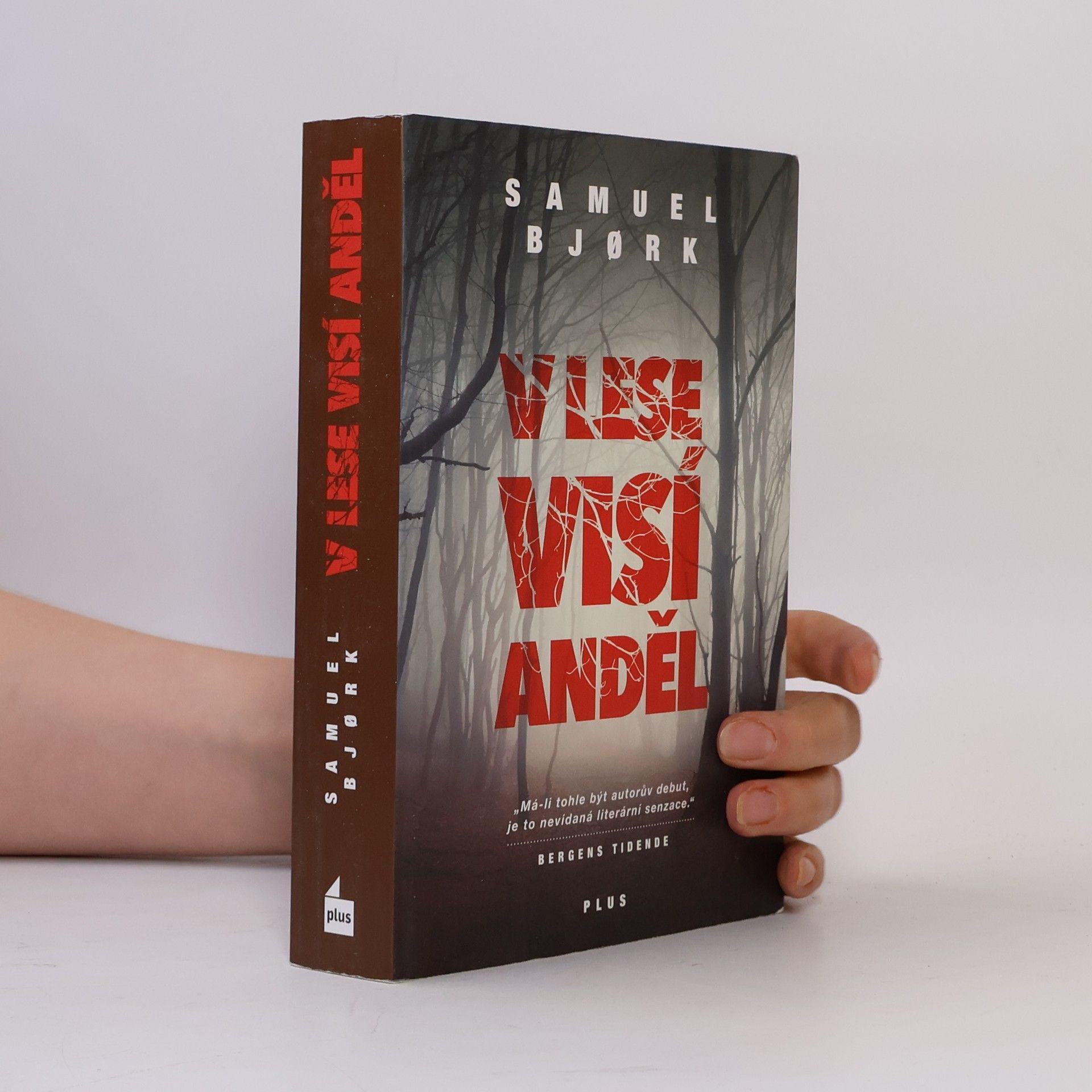 Samuel Bjork V lese visí anděl