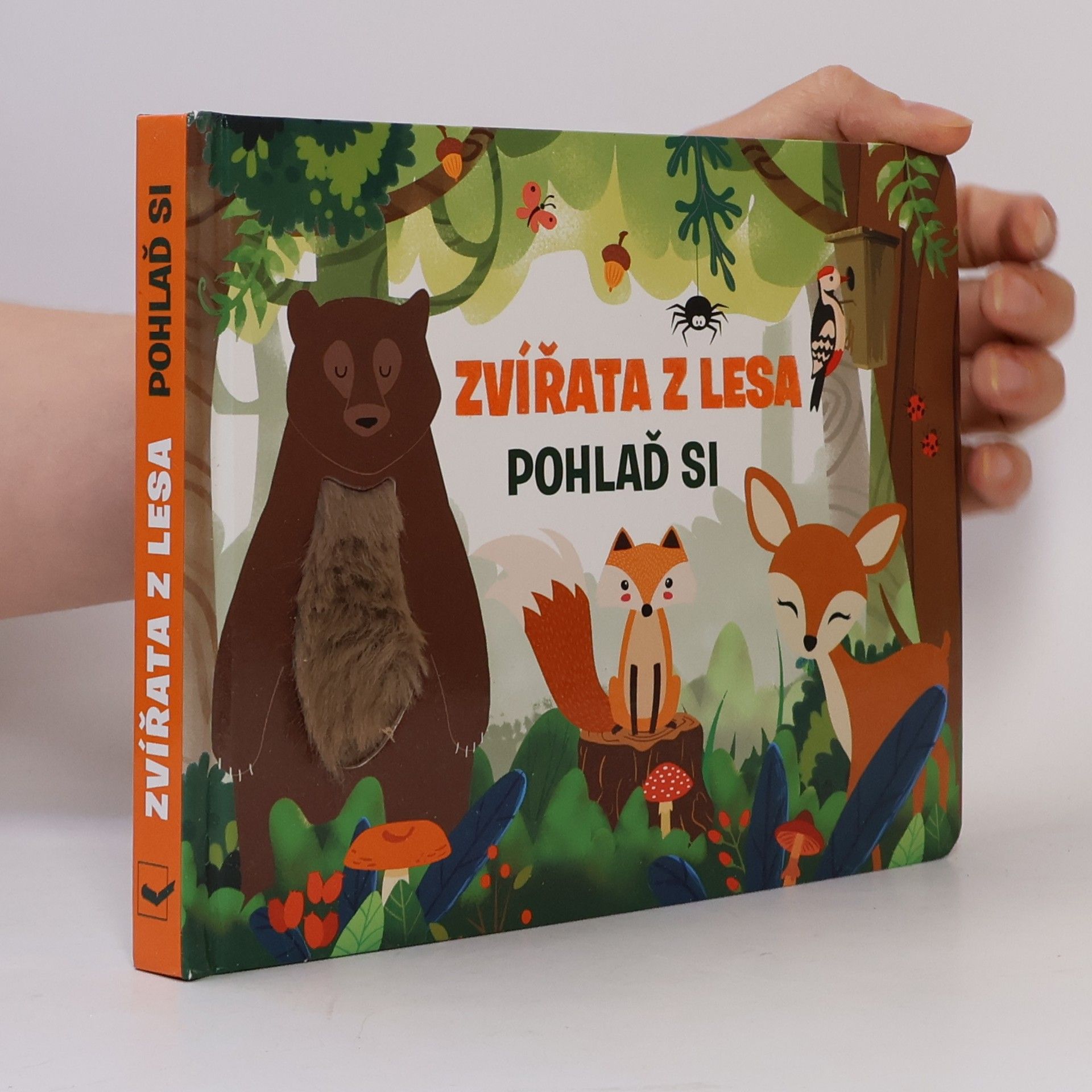 Zvířata z lesa: pohlaď si