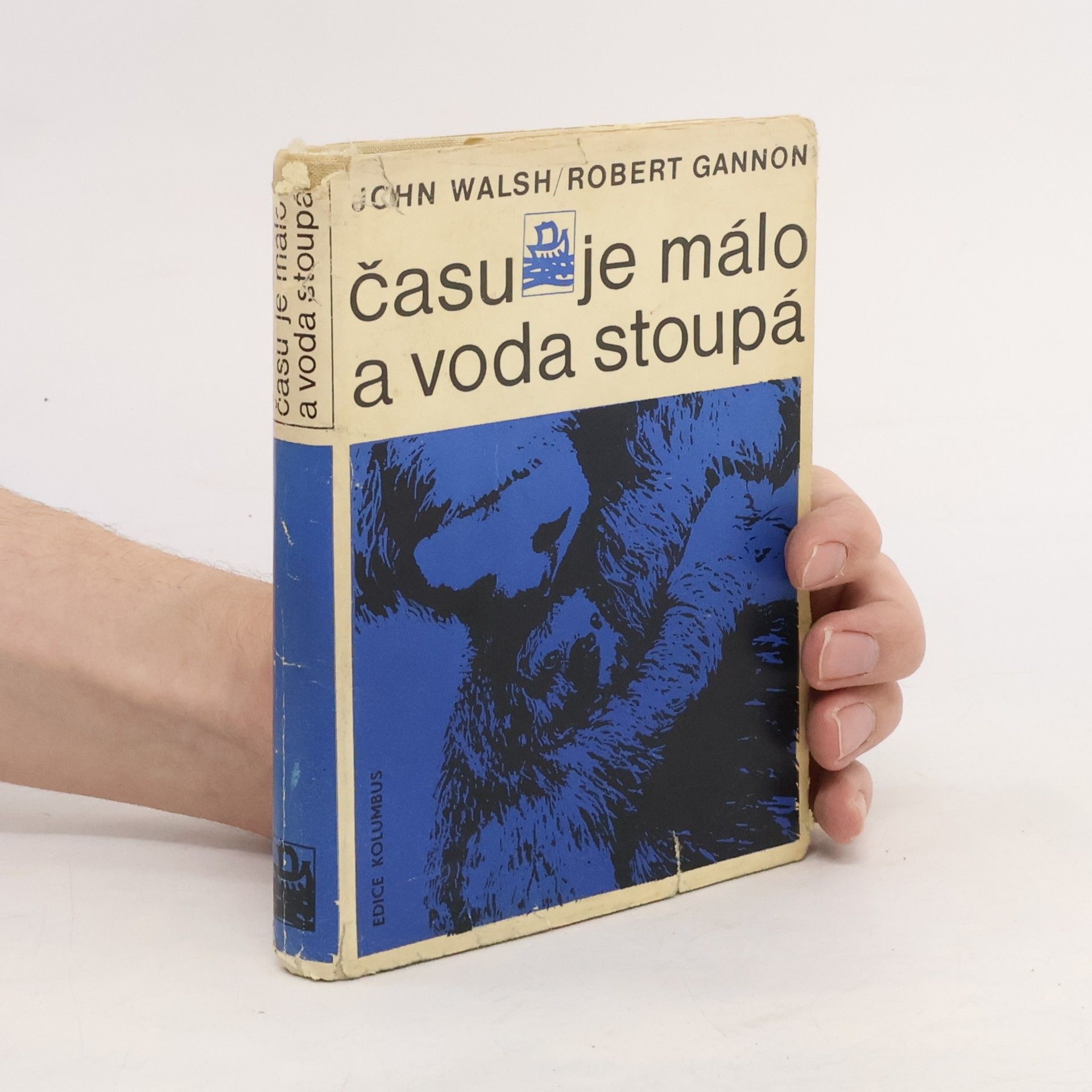 Robert Gannon Času je málo a voda stoupá