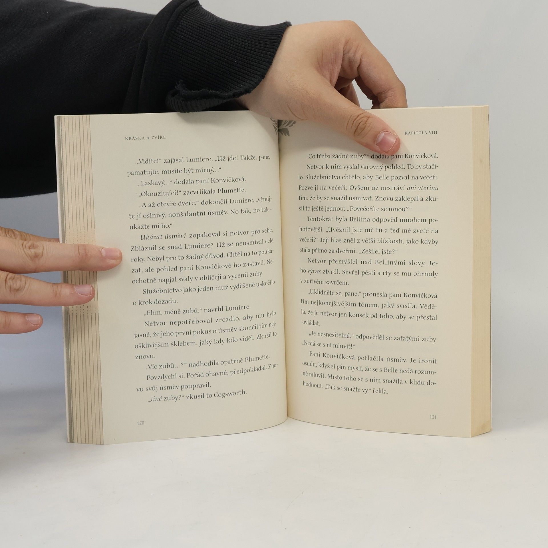 Elizabeth Rudnick Kráska a Zvíře