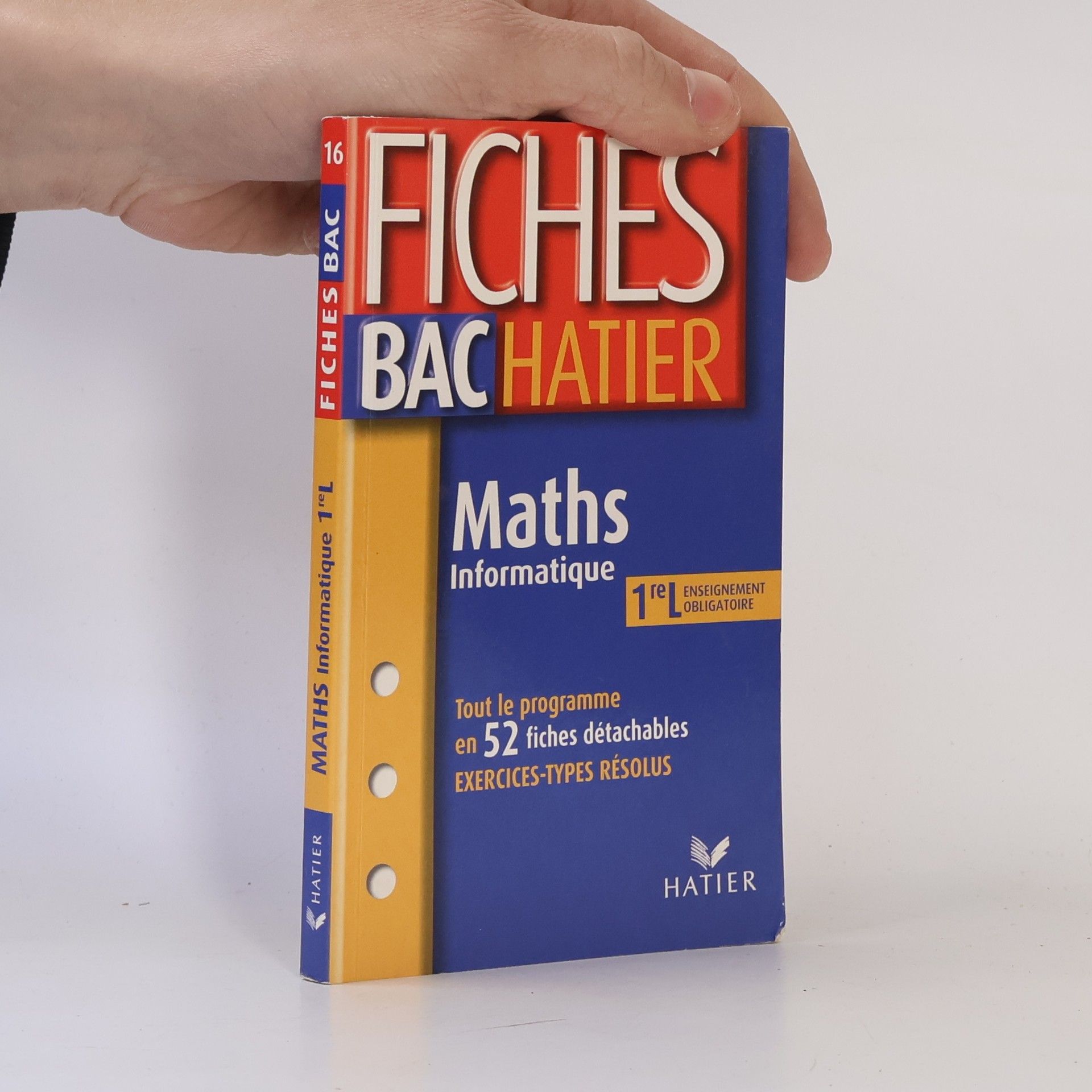 René Merckhoffer Maths Informatique 1ère L