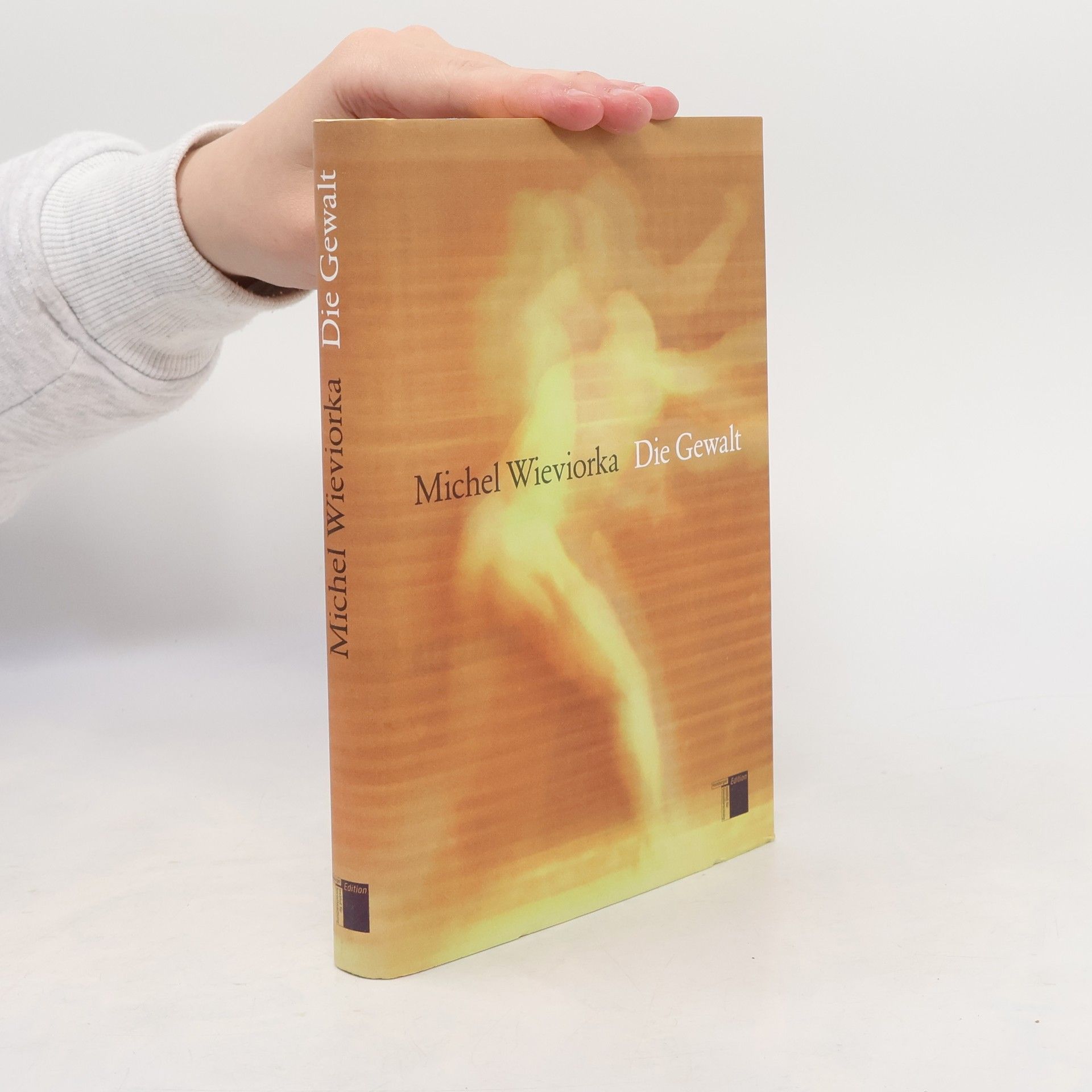 Michel Wieviorka Die Gewalt