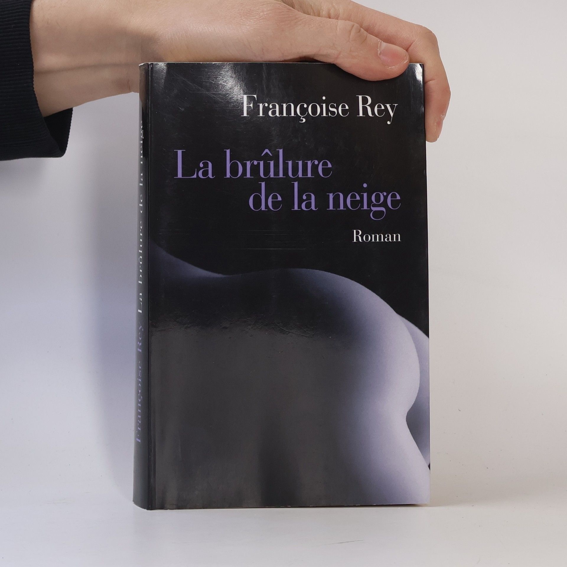 Françoise Rey La brûlure de la neige