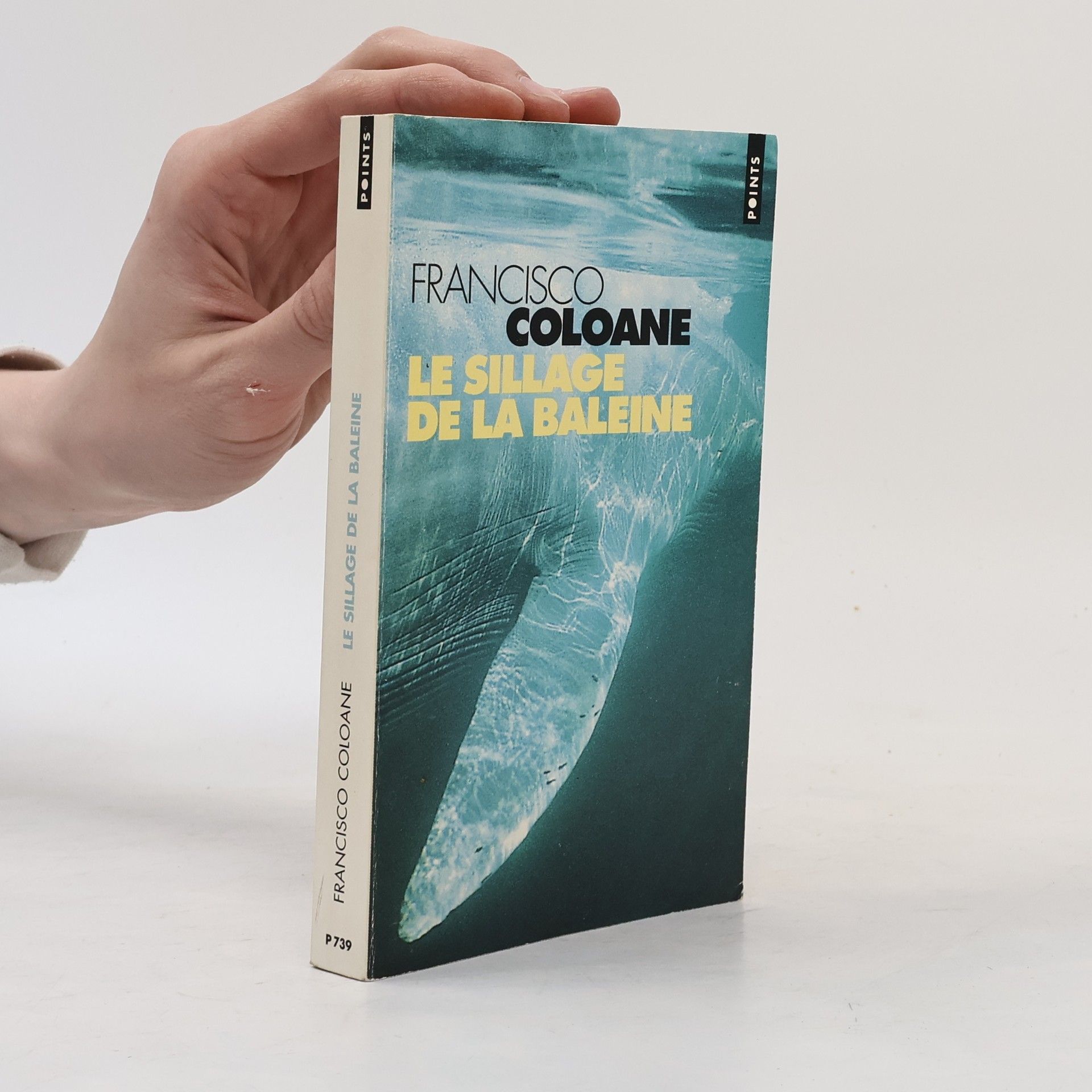 Sillage de la baleine