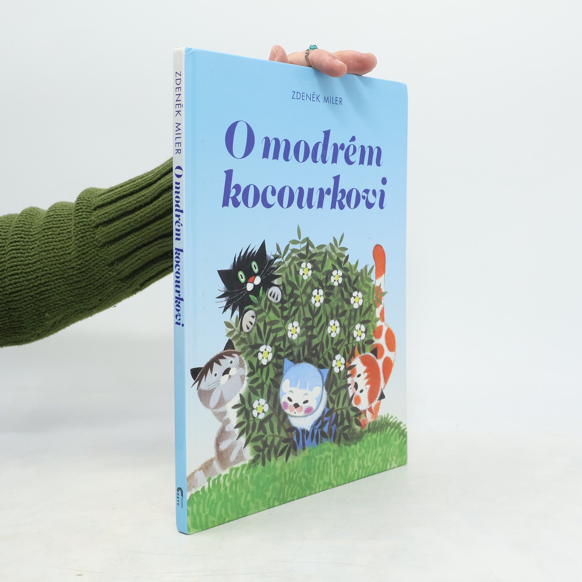 O modrém kocourkovi