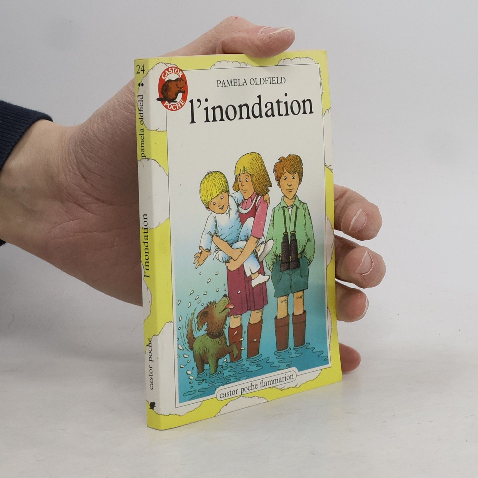 Pamela Oldfield L'inondation