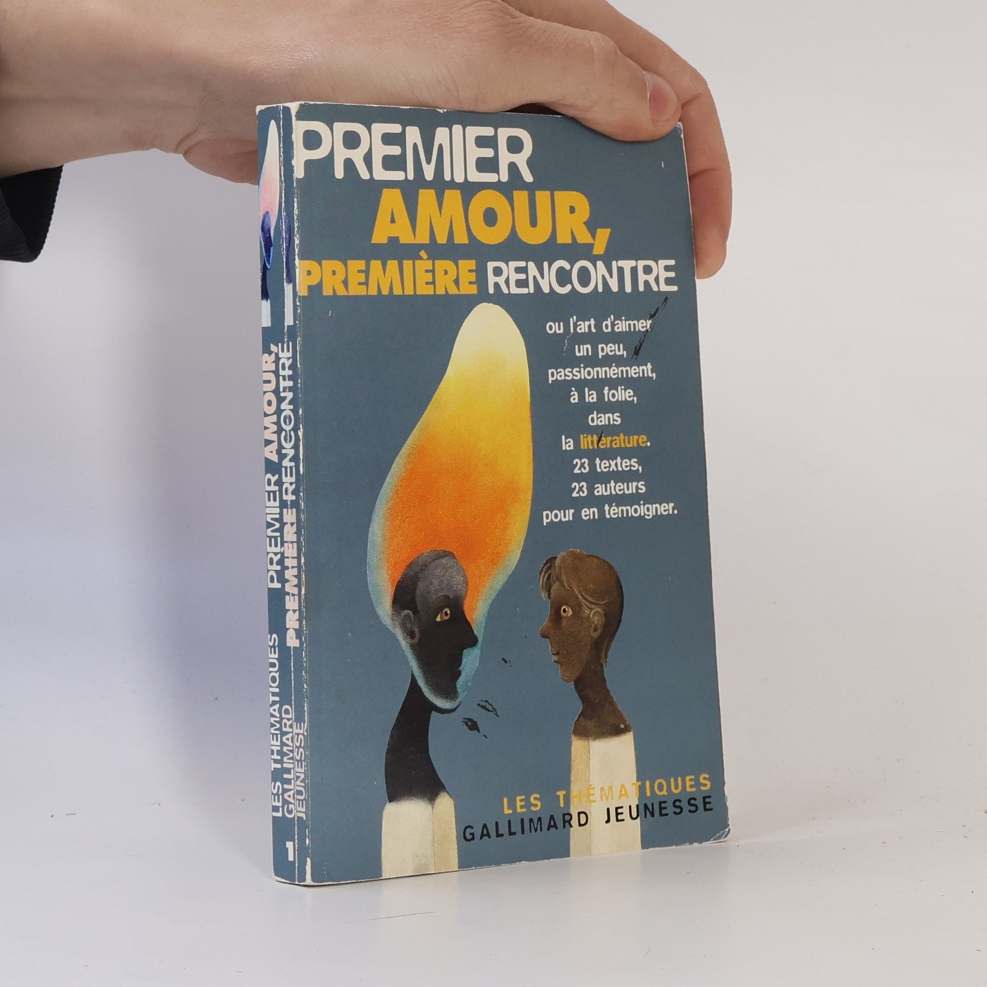 Les Thématiques - 1: Premier amour, première rencontre ou l'art d'aimer un peu, passionnément, à la folie dans la littérature
