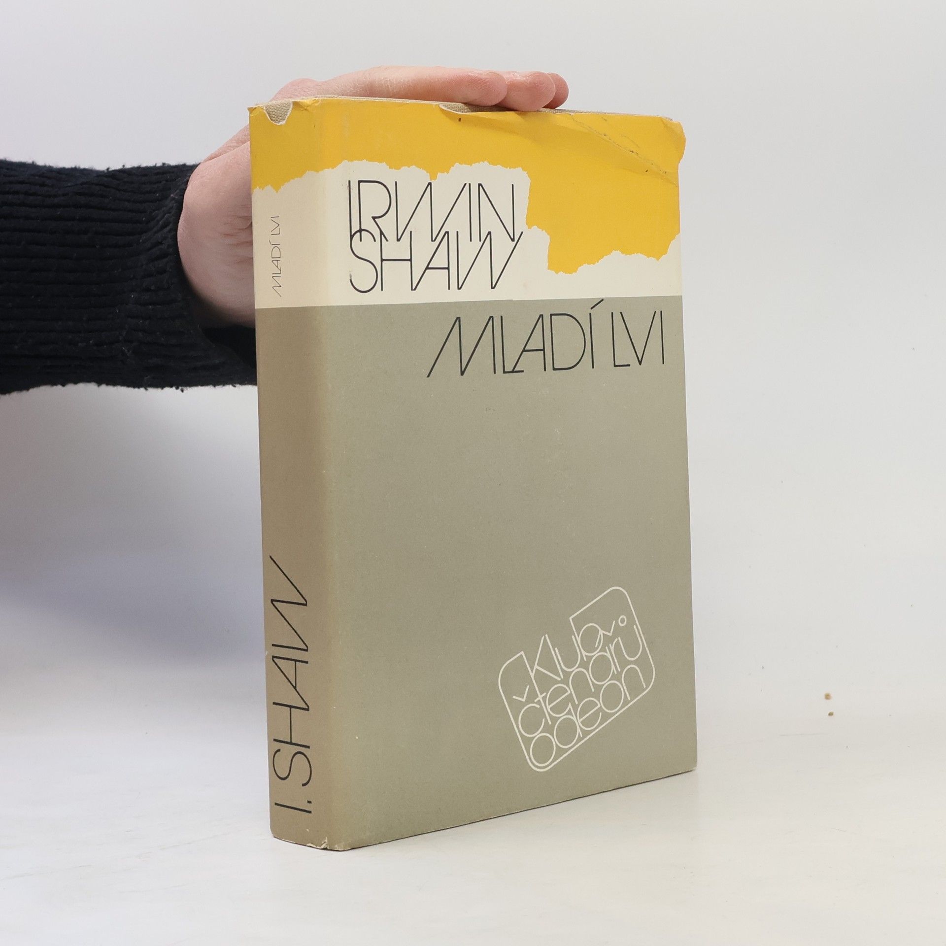 Irwin Shaw Mladí lvi