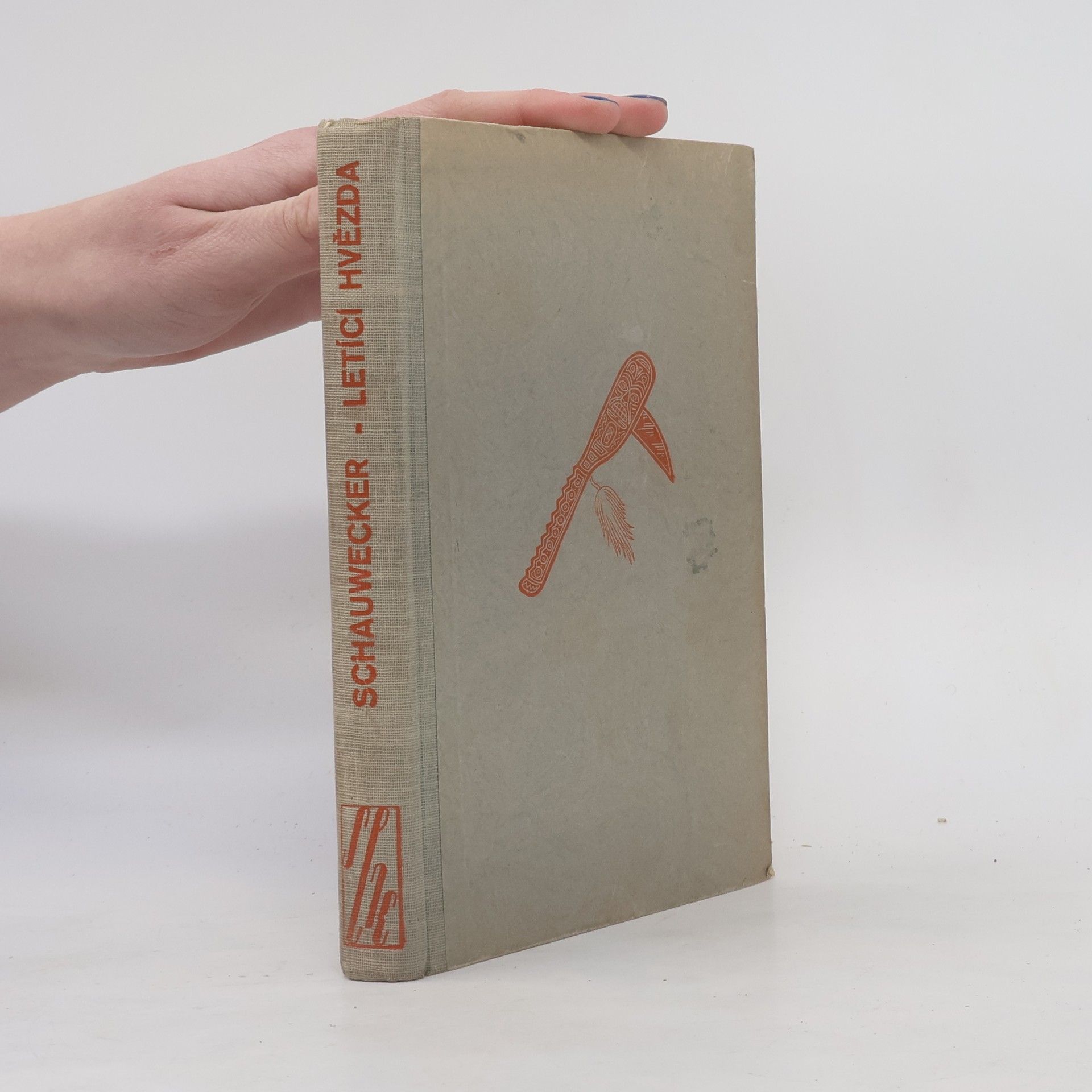 Franz Schauwecker Letící hvězda