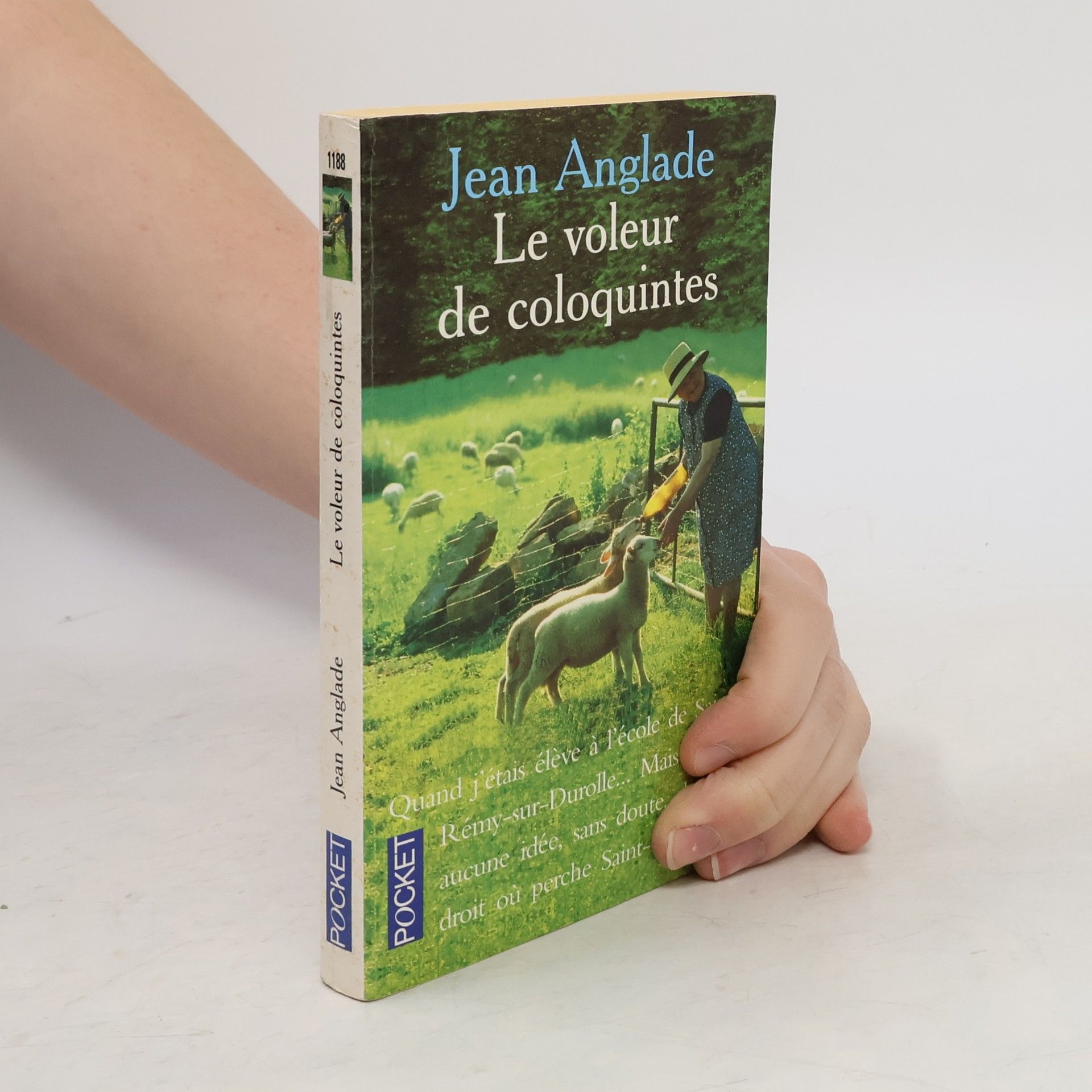 Le voleur de coloquintes