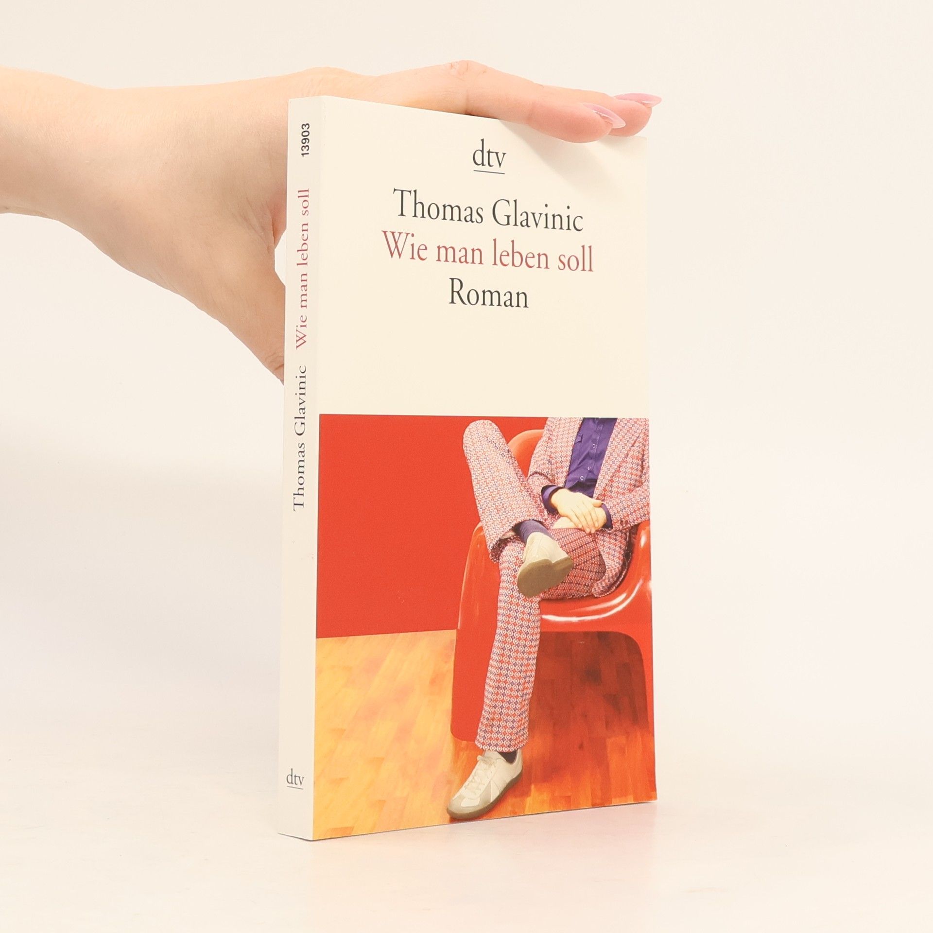 Thomas Glavinic Wie Man leben Soll