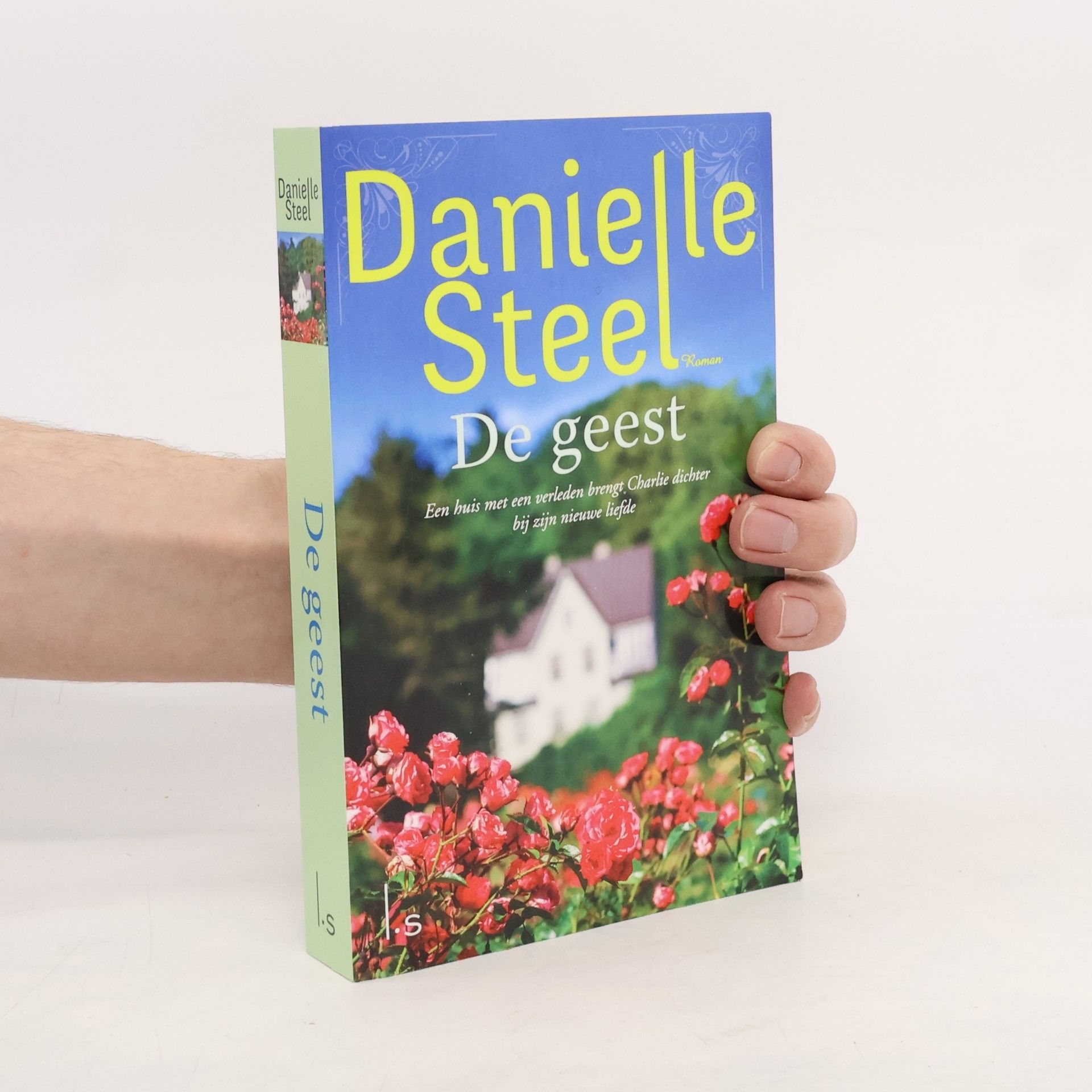 Danielle Steel De geest / druk 6