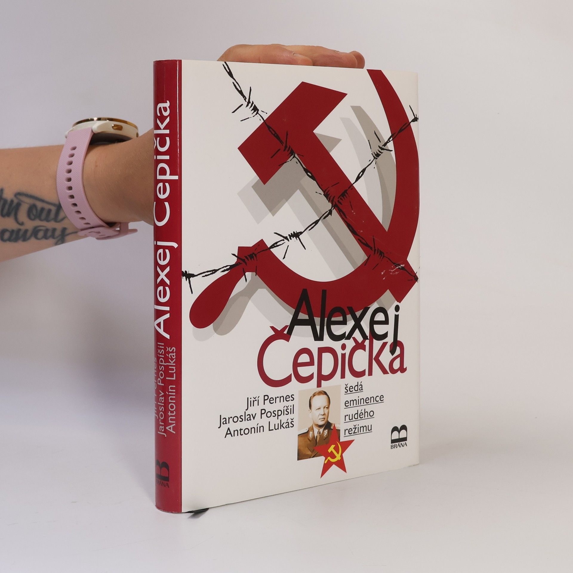 Jiří Pernes Alexej Čepička : šedá eminence rudého režimu