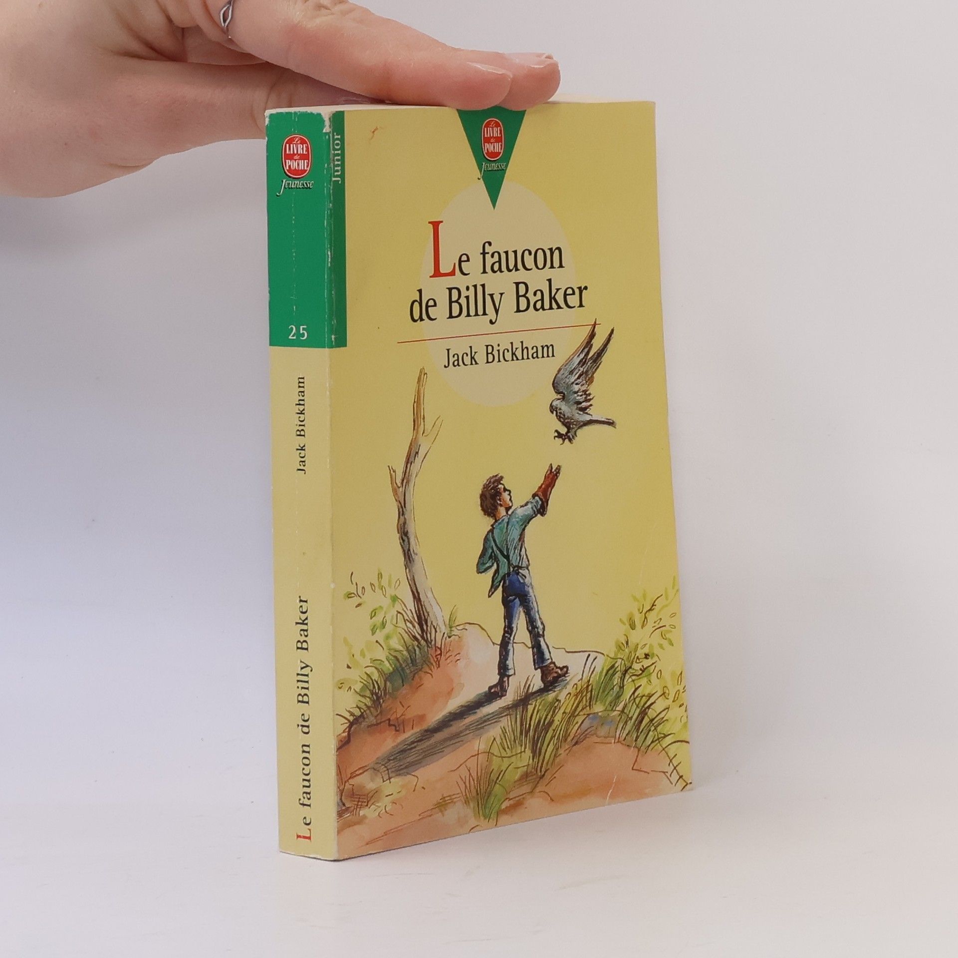 Livre de Poche Jeunesse Junior - 25: Le faucon de Billy Baker
