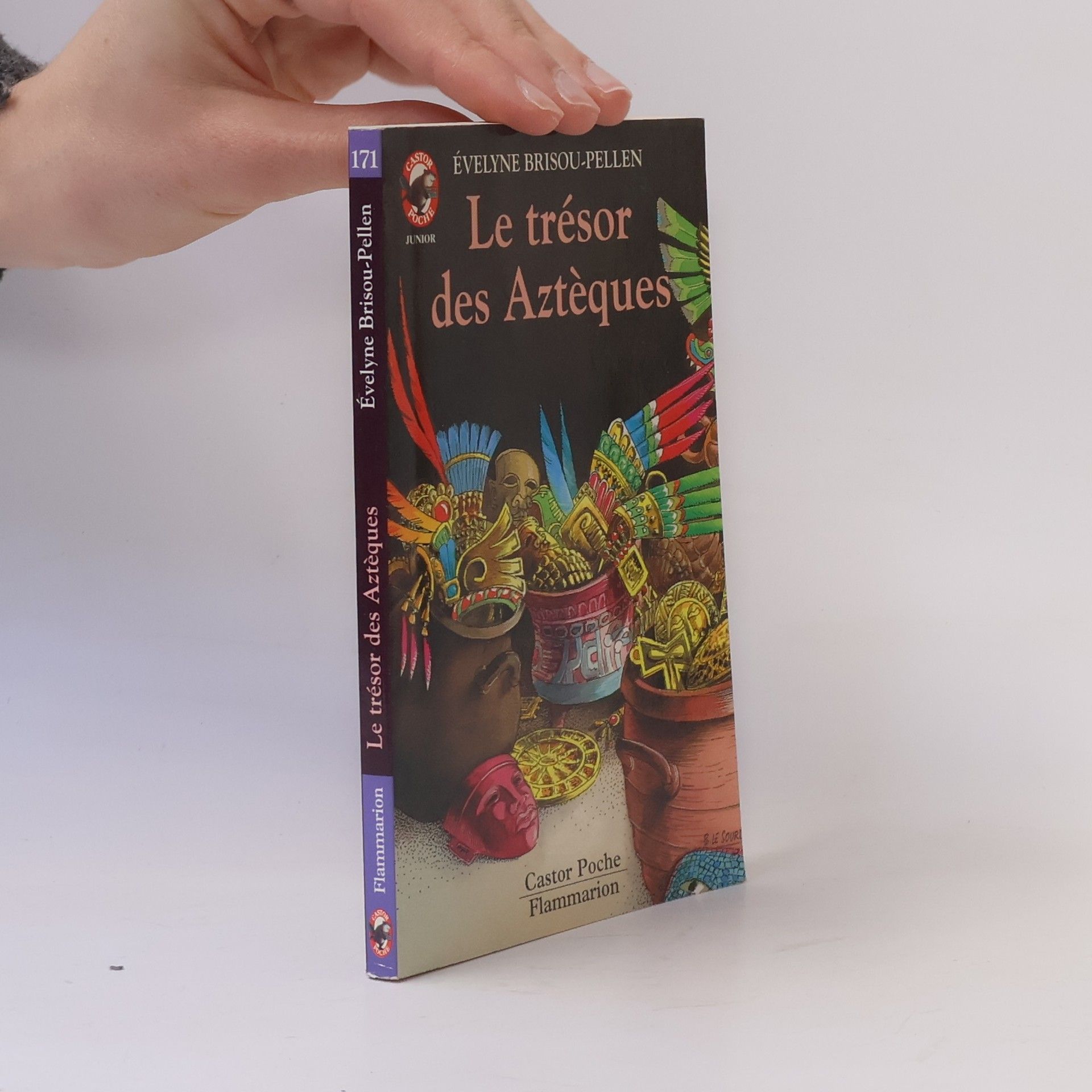 Danielle Steelová Un si grand amour