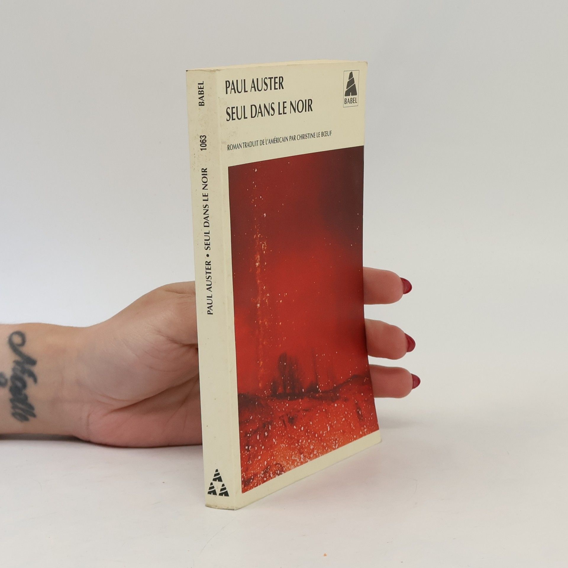 Paul Auster Babel: Seul dans le noir