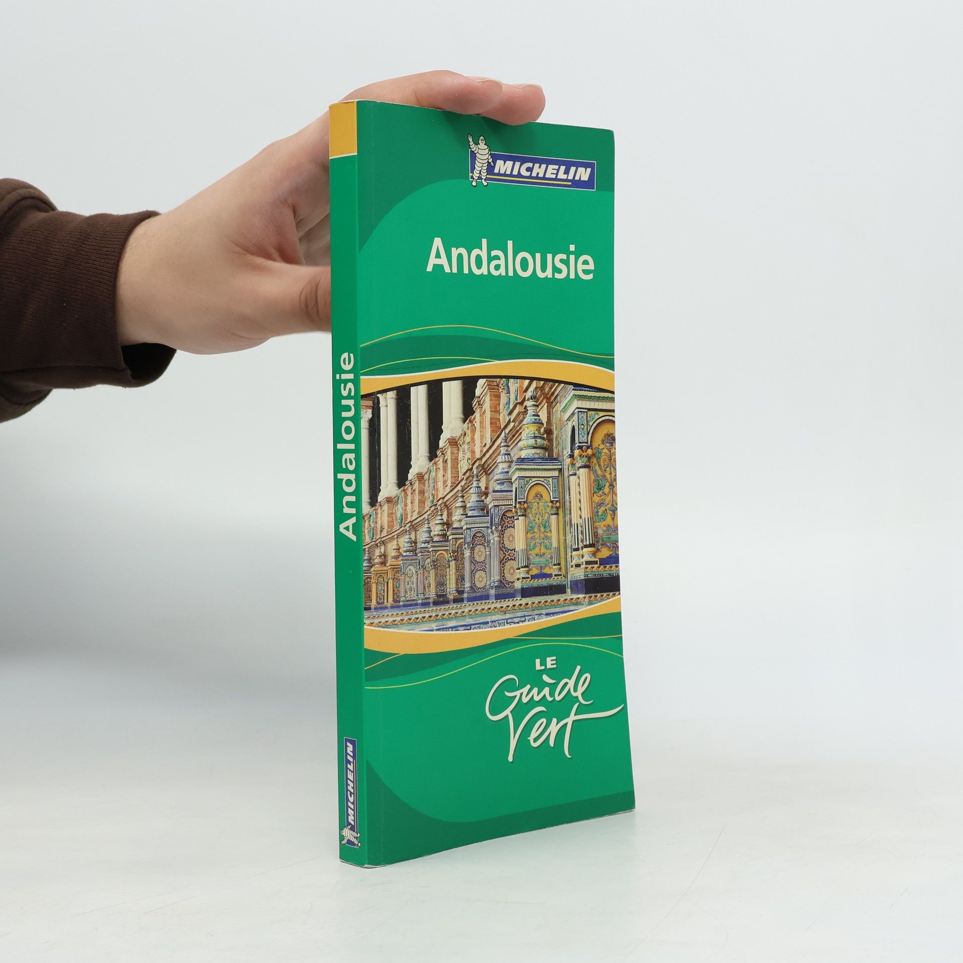 Beatrice Brillion Le Guide Vert Andalousie