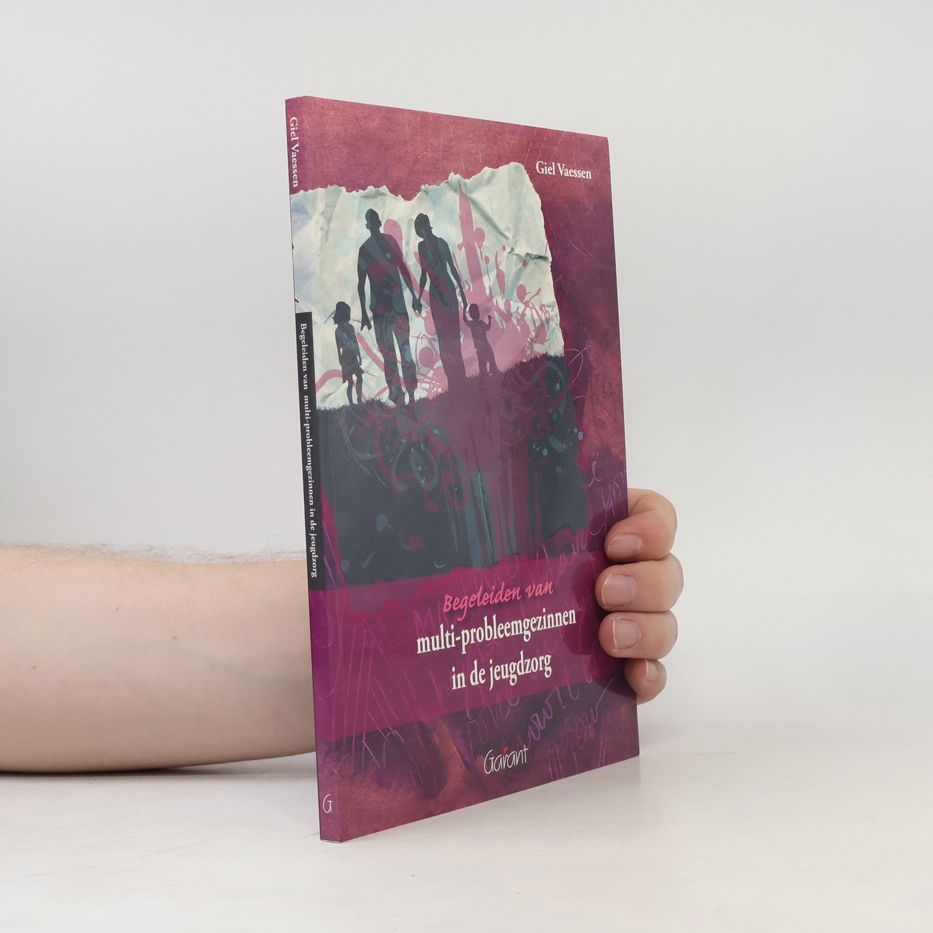 Giel Vaessen Begeleiden van multi-probleemgezinnen in de jeugdzorg