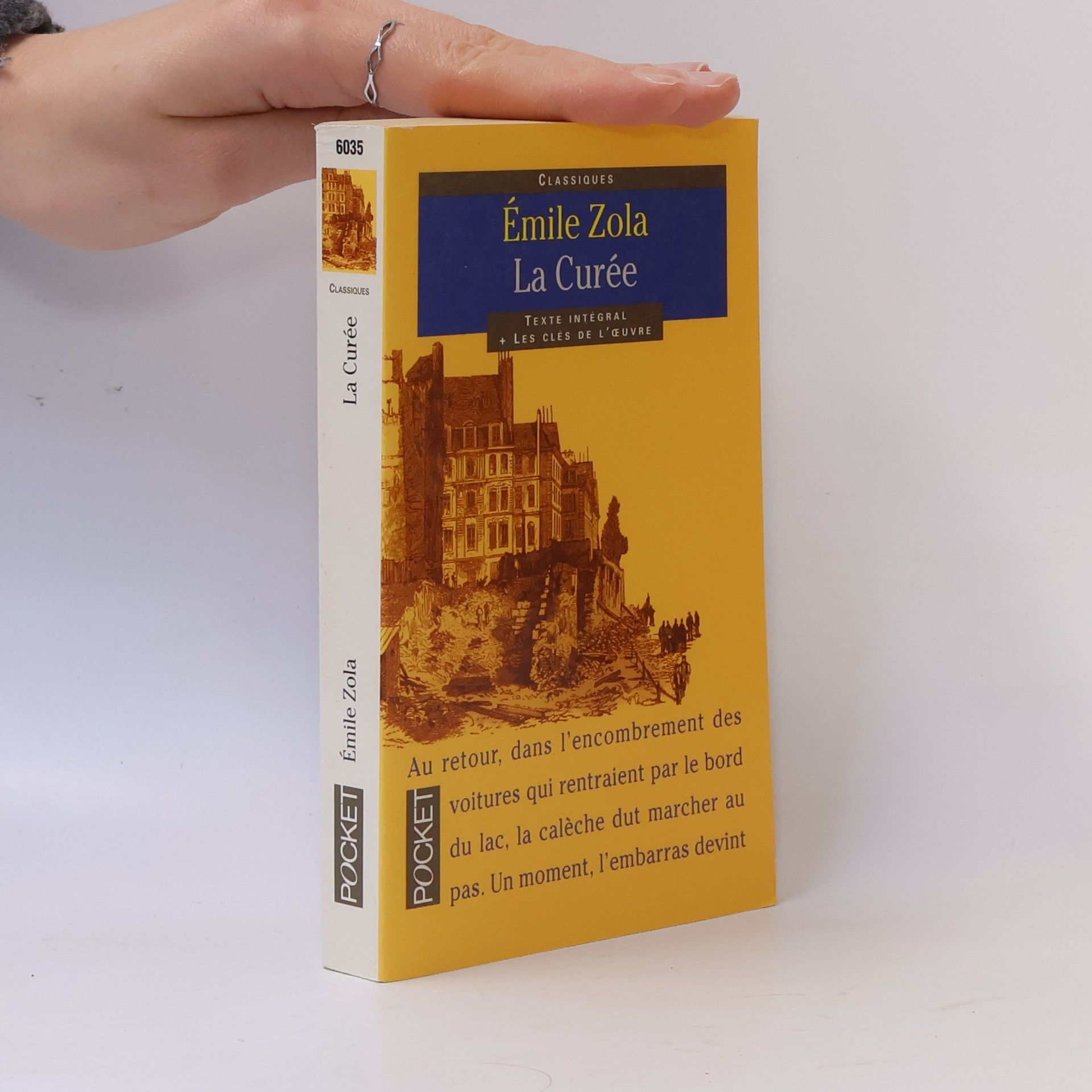 Émile Zola La Curée