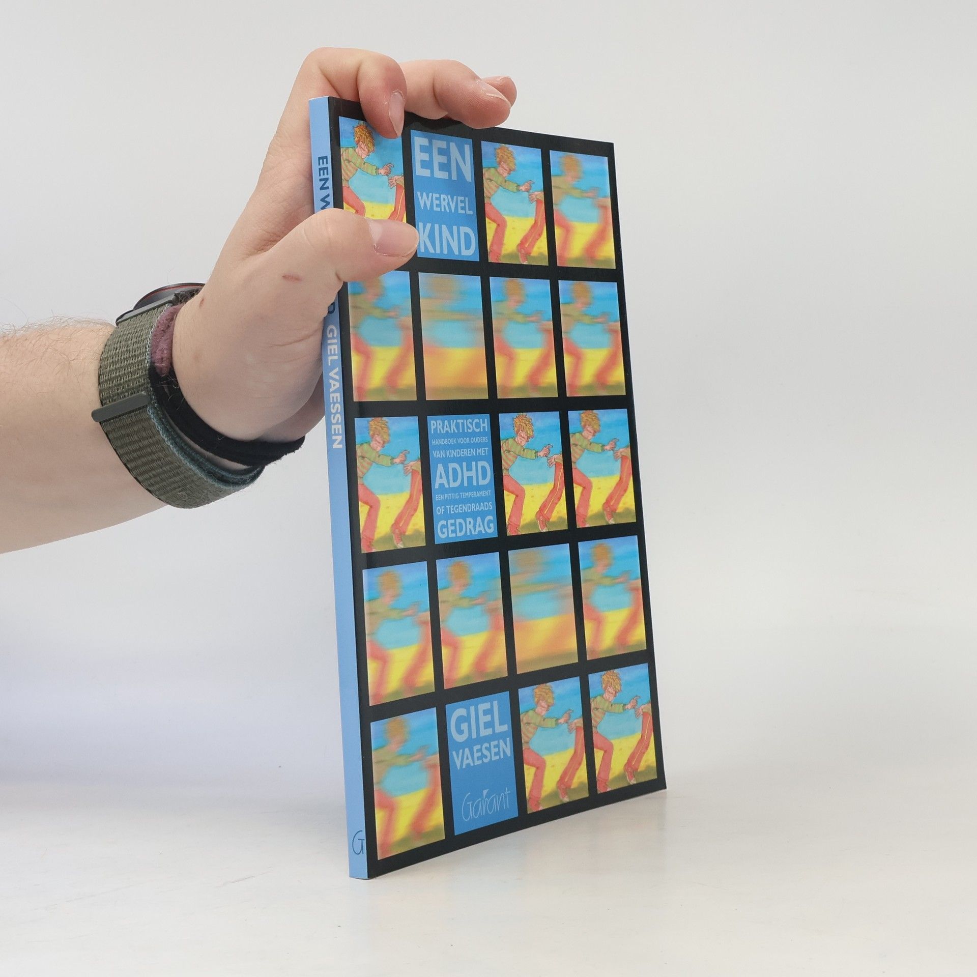 Giel Vaesen Een wervelkind: praktisch handboek voor ouders van kinderen met ADHD, een pittig temperament of tegendraads gedrag