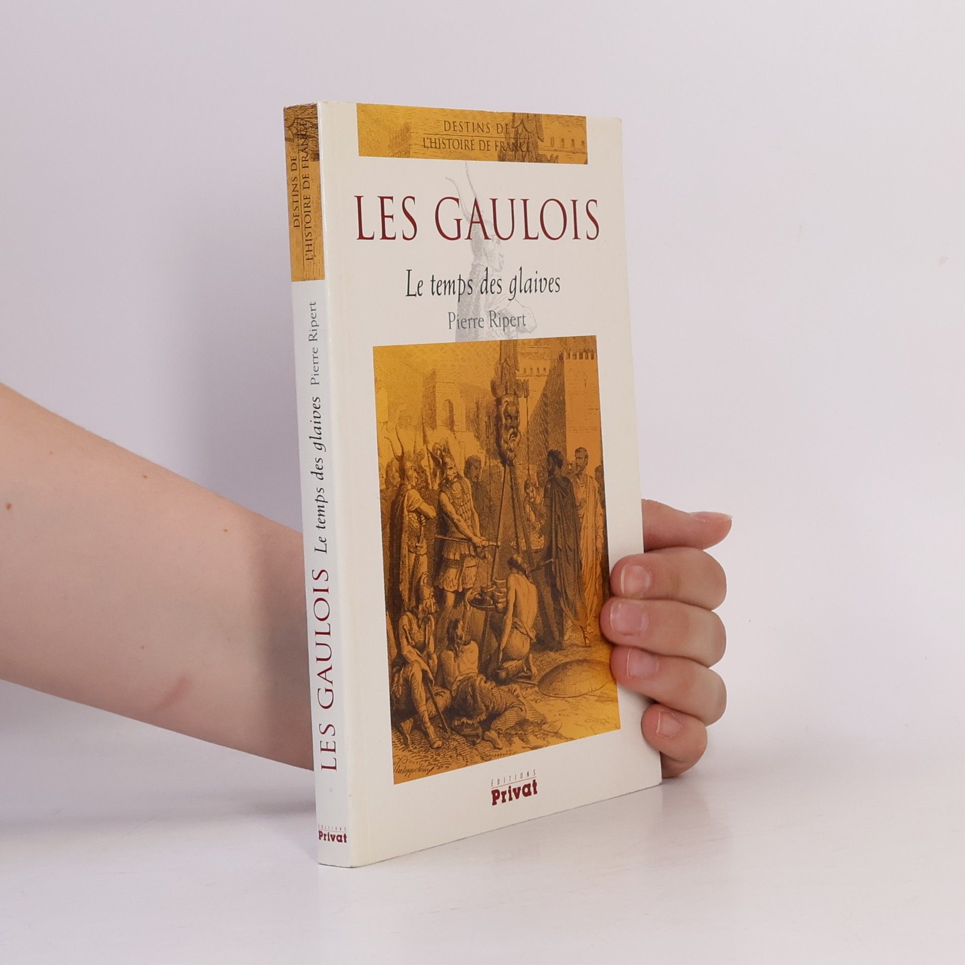 Pierre Ripert Le temps des glaives, les Gaulois