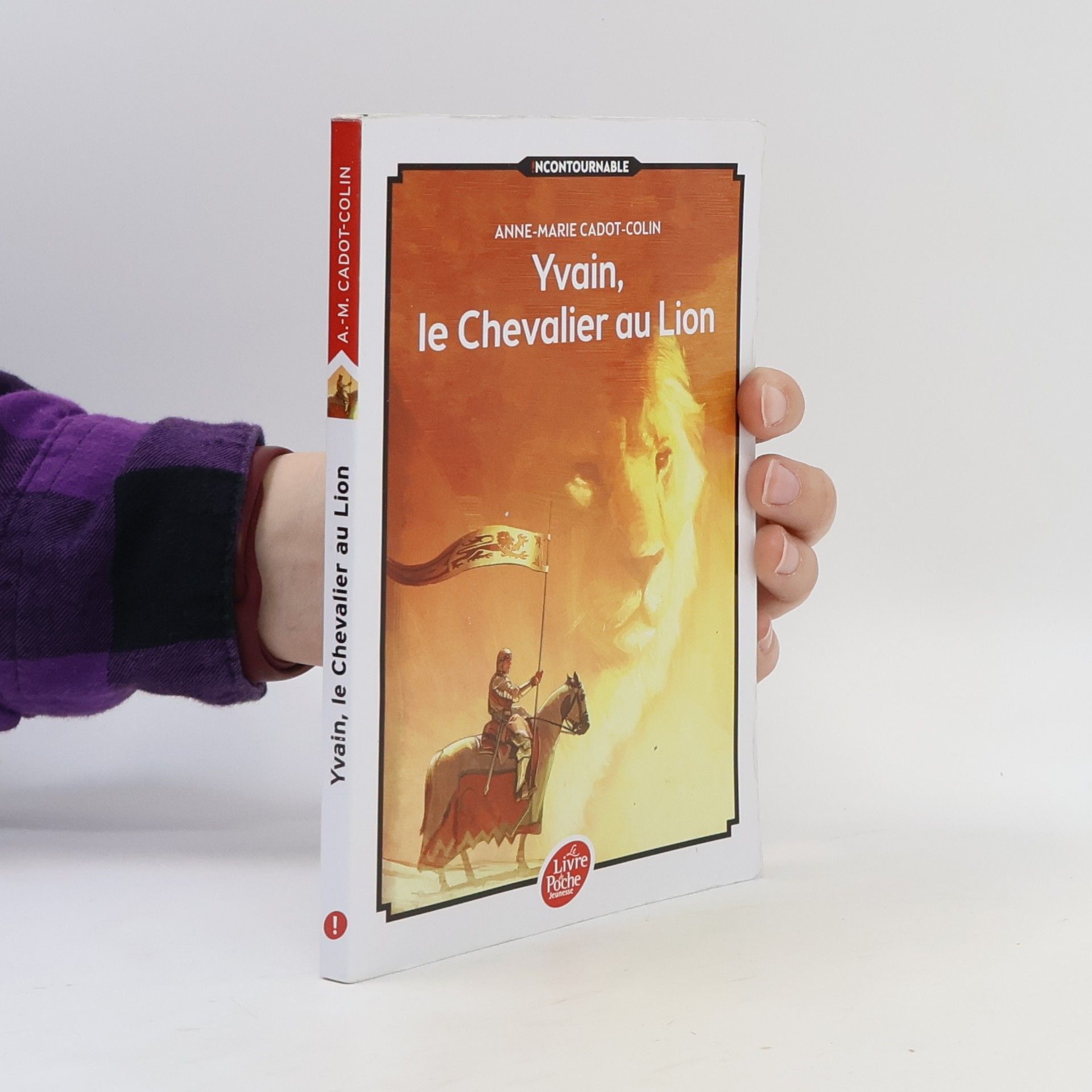 Yvain, le Chevalier au Lion