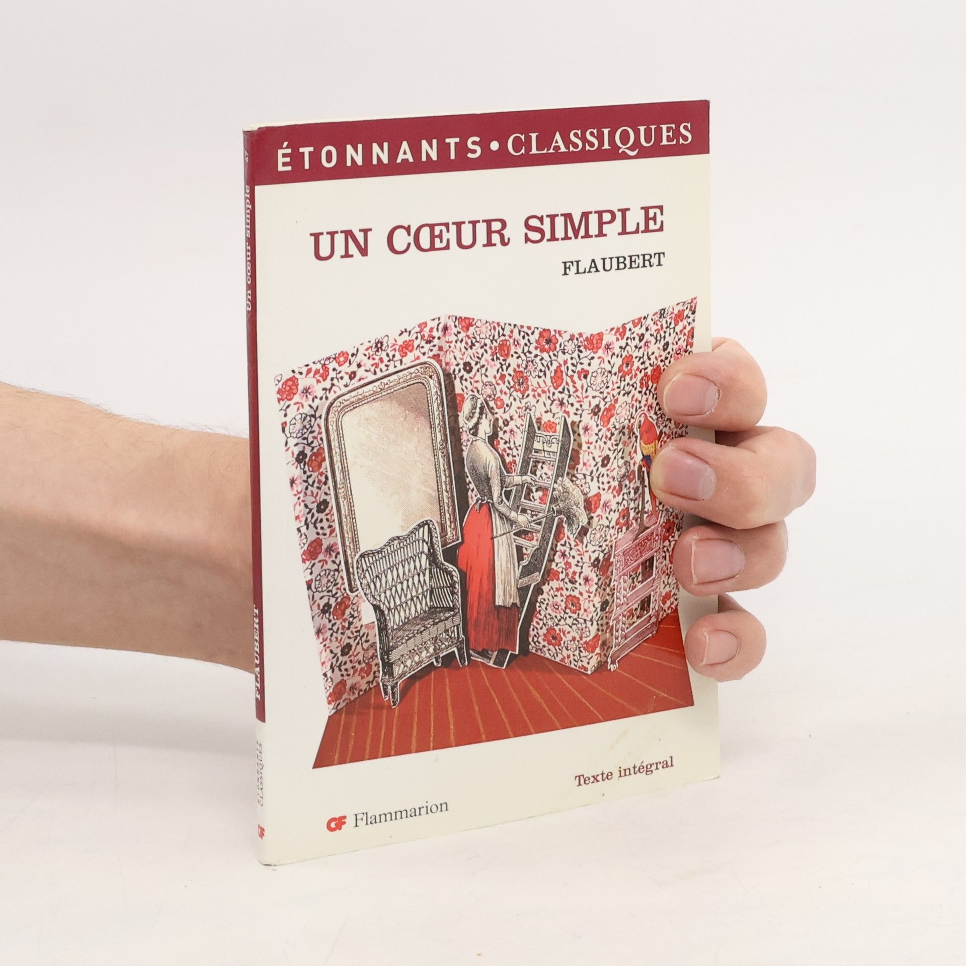 Gustave Flaubert Un cœur simple