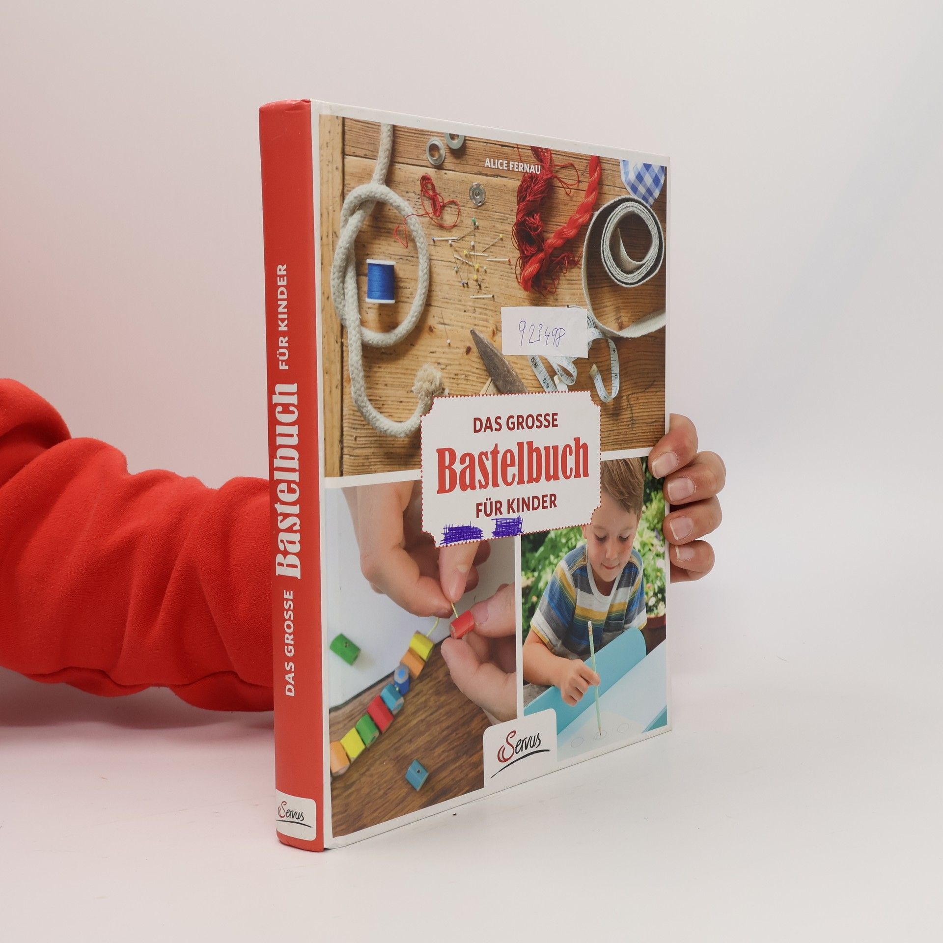 Alice Fernau Das große Bastelbuch für Kinder